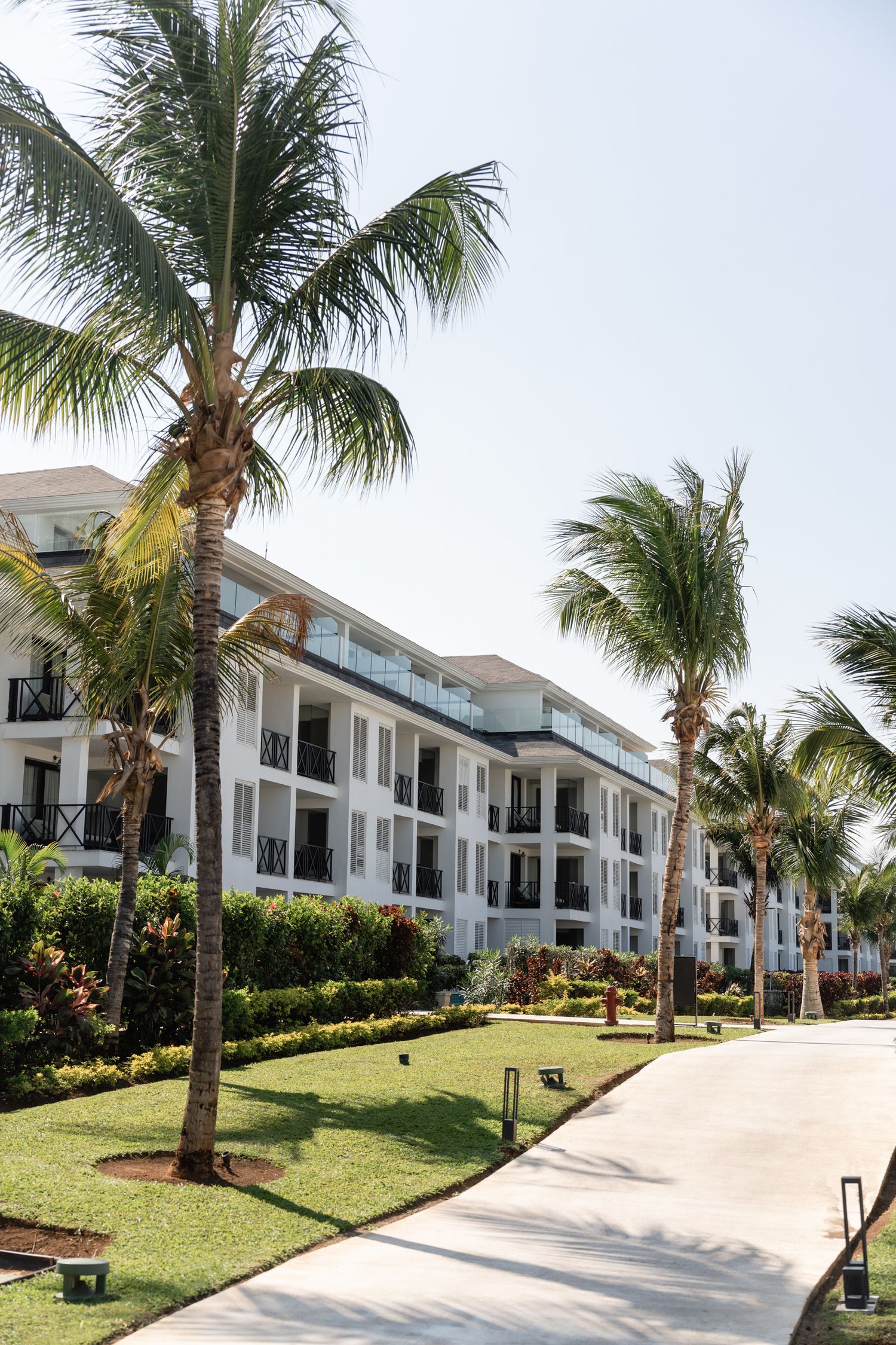 Tropical resort buildings with white exteriors and palm trees lining a manicured walkway.
