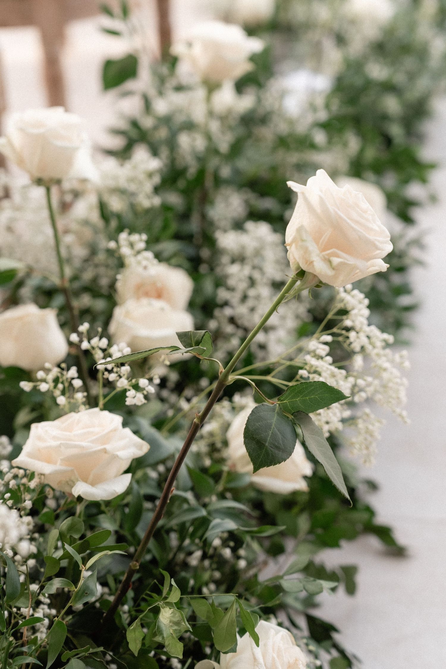 Delicate arrangement of white roses and baby's breath with lush greenery.