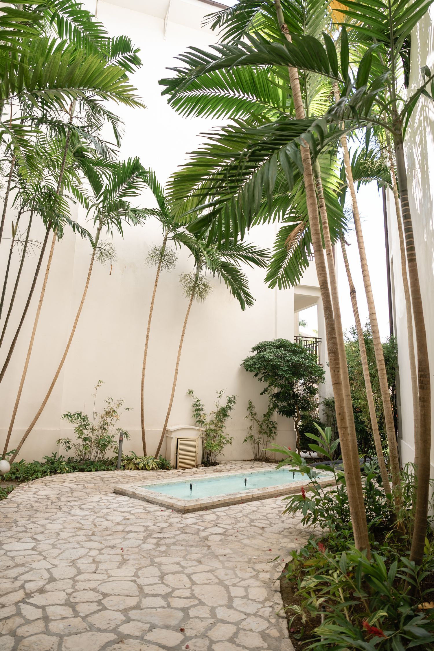 Secluded courtyard pool area surrounded by tall palm trees and stone pathway.