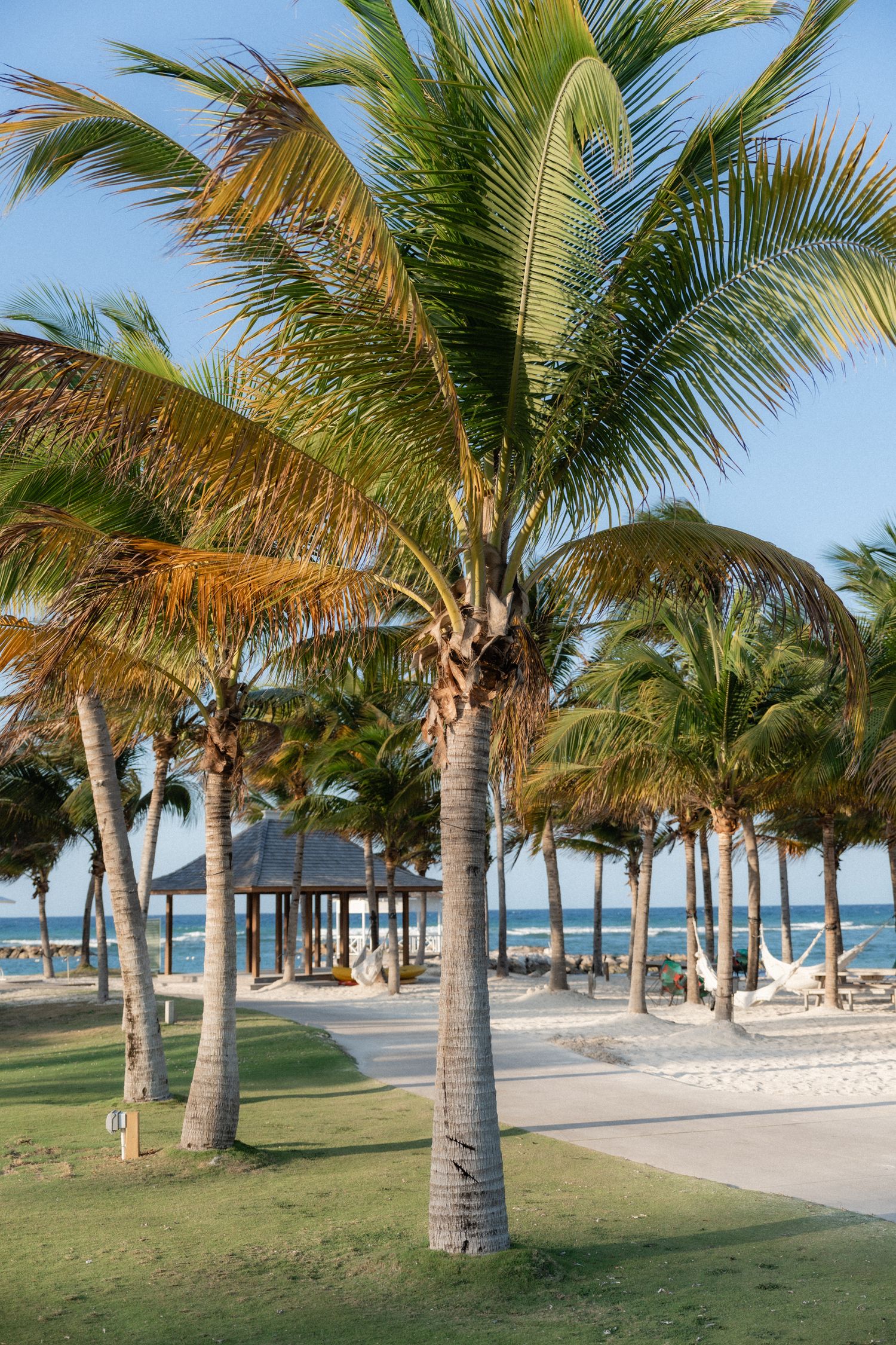 Palm trees line a beachfront pathway leading to a gazebo on a tropical resort property.