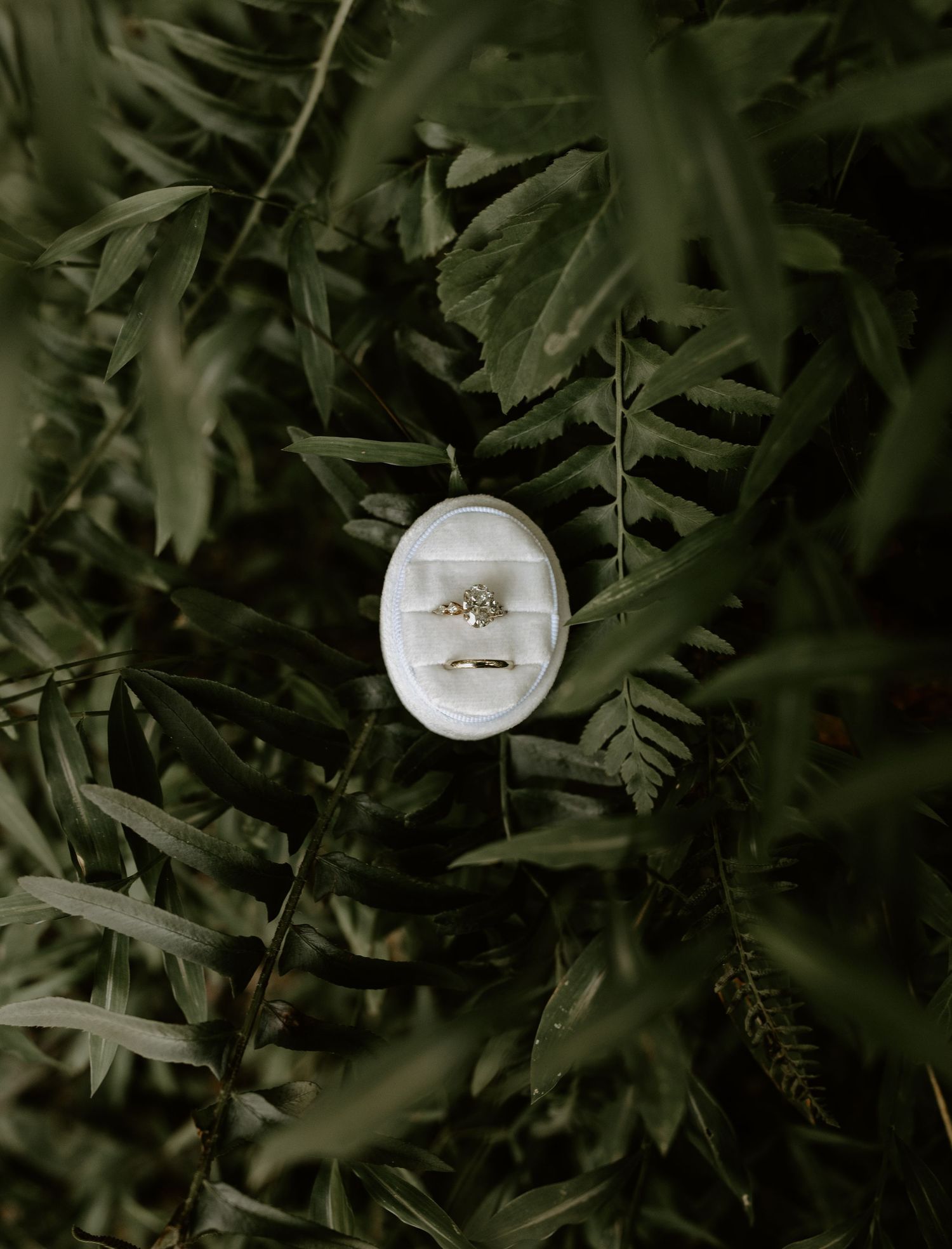 White mask emerging from dark green foliage background creates an eerie artistic composition.
