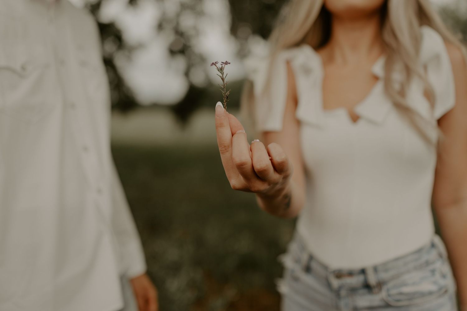 Someone holds a small wildflower between their fingers in a soft focus outdoor shot.