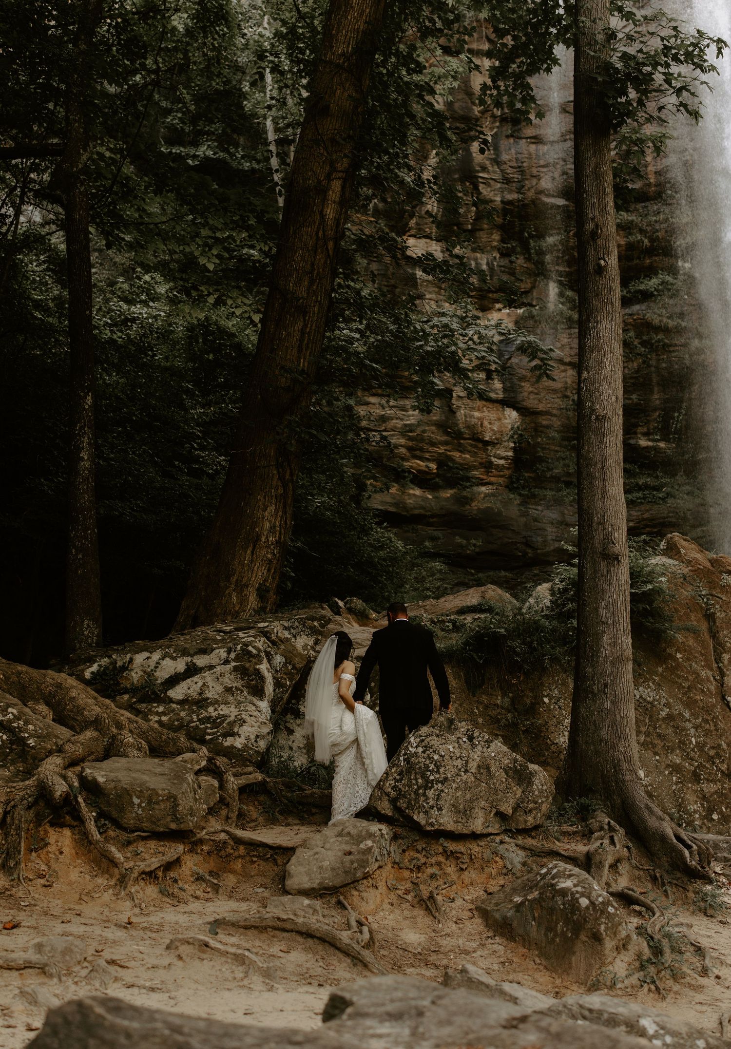 A couple in wedding attire stands beneath tall trees near mossy rocks in a misty forest setting.