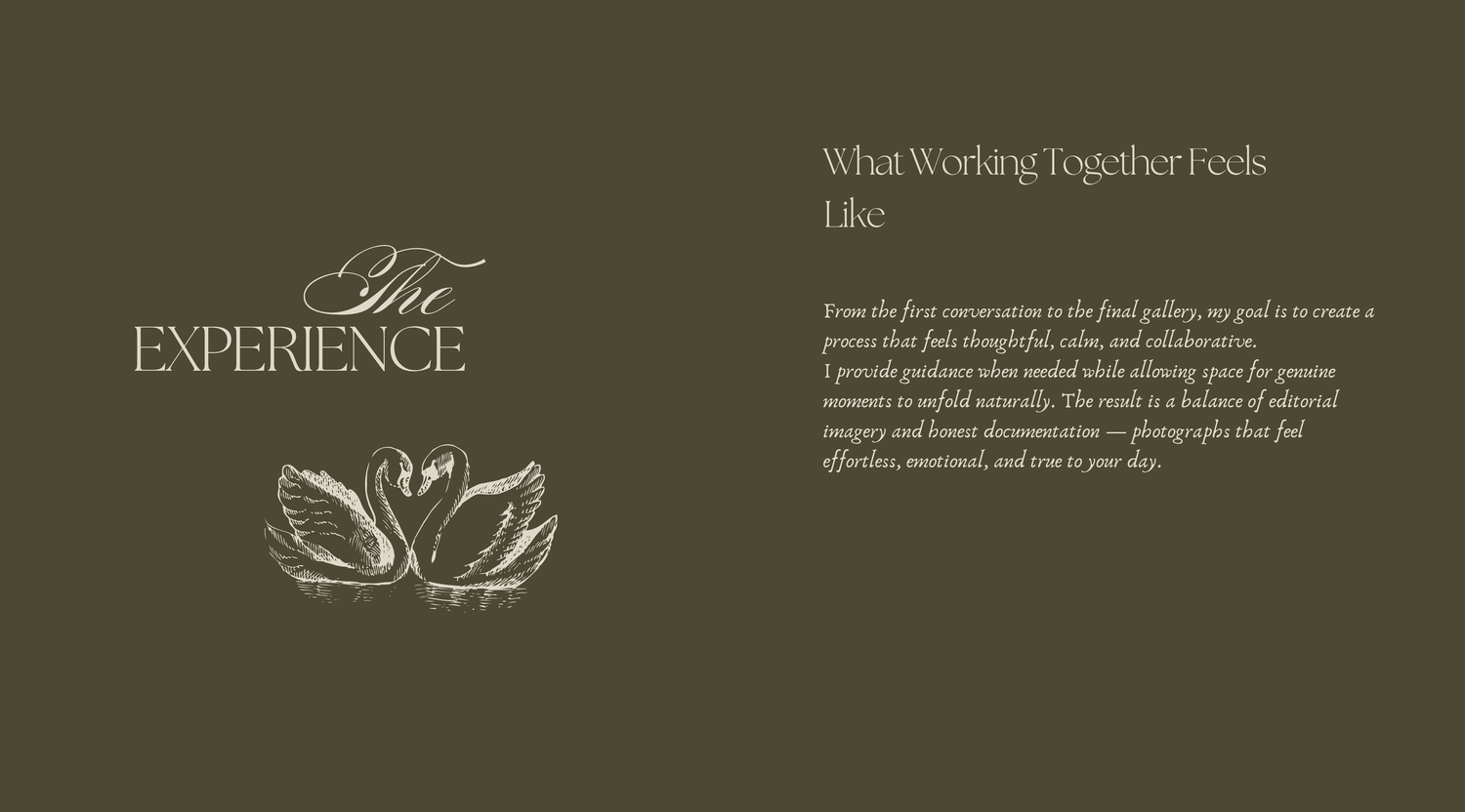 Elegant photography studio experience page featuring swan logo and cursive text on an olive green background.