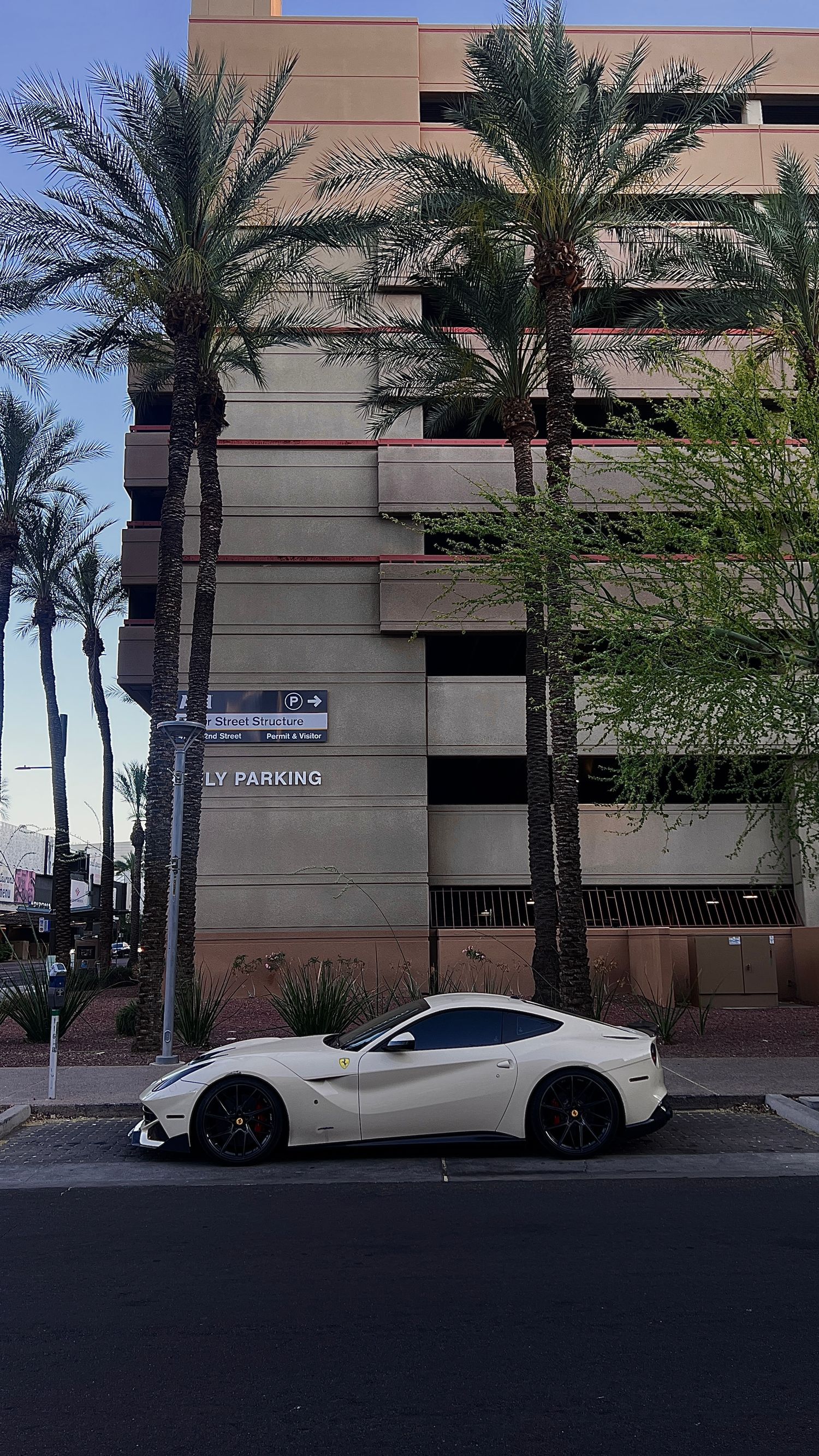 White Ferrari parked on street beside parking garage with palm trees in Phoenix.