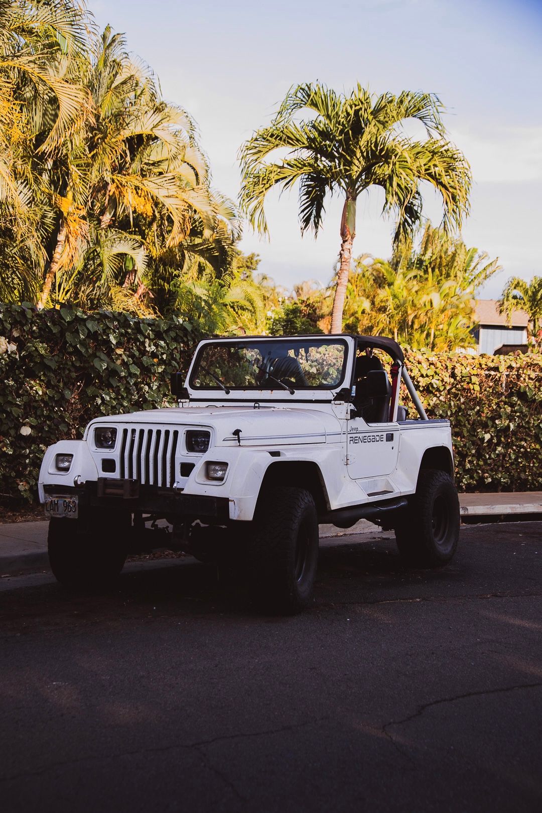 White Jeep Wrangler with lift kit surrounded by palm trees in tropical setting. Maui, HI.