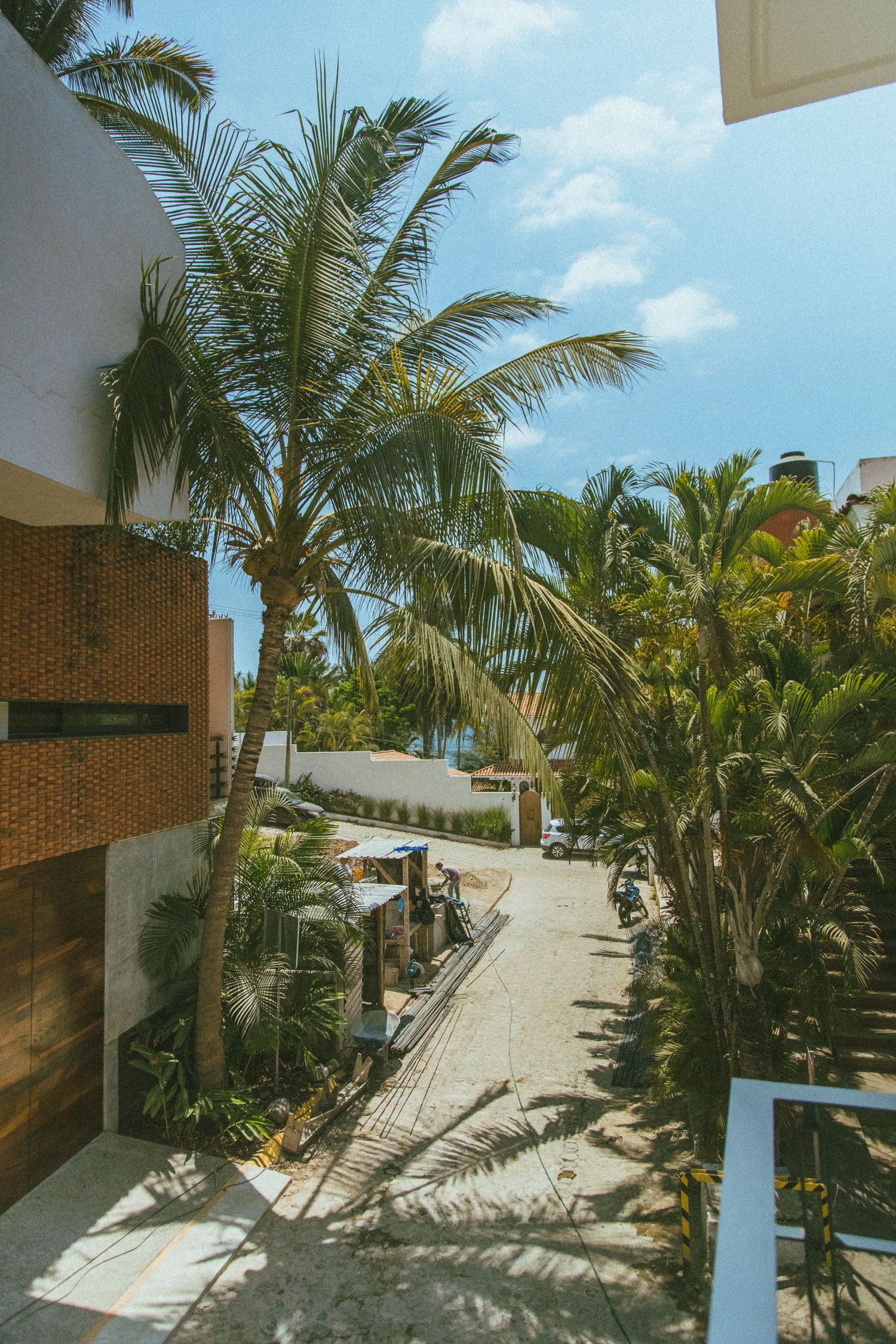 A tropical pathway lined with palm trees and modern architecture under bright blue skies.