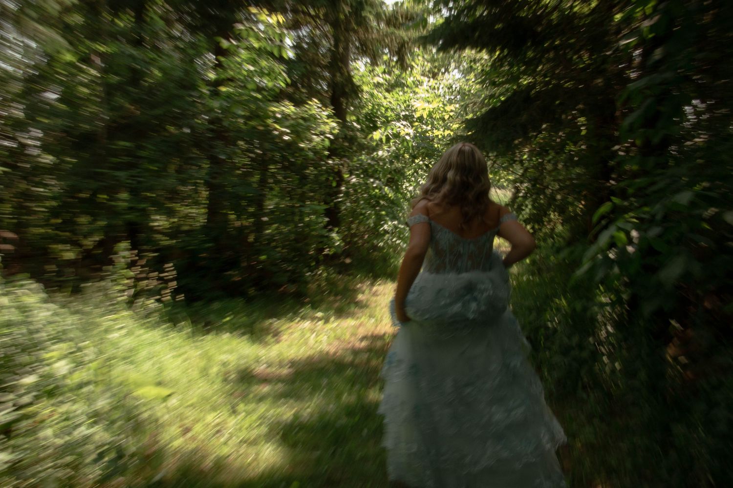 A person walks through a tranquil forest path surrounded by lush green foliage on a sunny day.