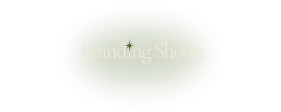 A bright white watermark displayed on a faded background.
