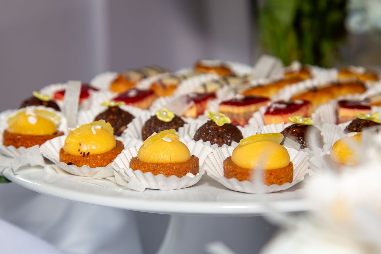 Artistic close-up of assorted dessert bites captured for catering showcase.