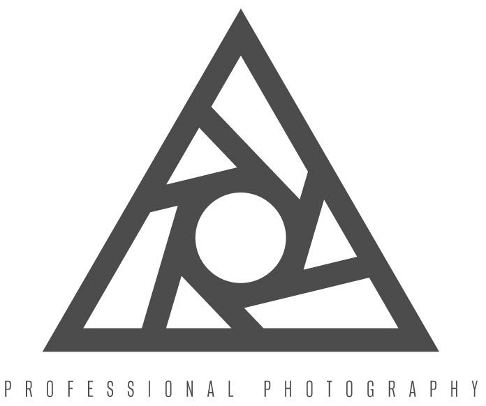 Triangle Photo Pro secondary logo for professional photography brand.