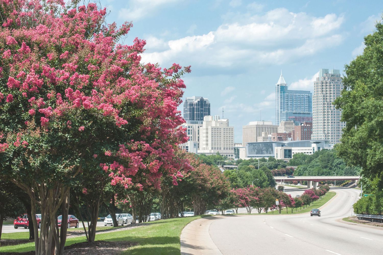 Downtown Raleigh skyline at sunset with city buildings and warm light — professional landscape photography by Triangle Photo Pro.