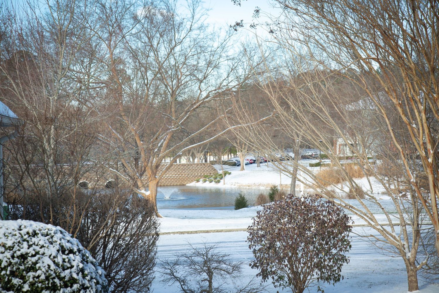 Snowy winter landscape with a frozen lake in Chapel Hill — peaceful nature scene captured by Triangle Photo Pro.