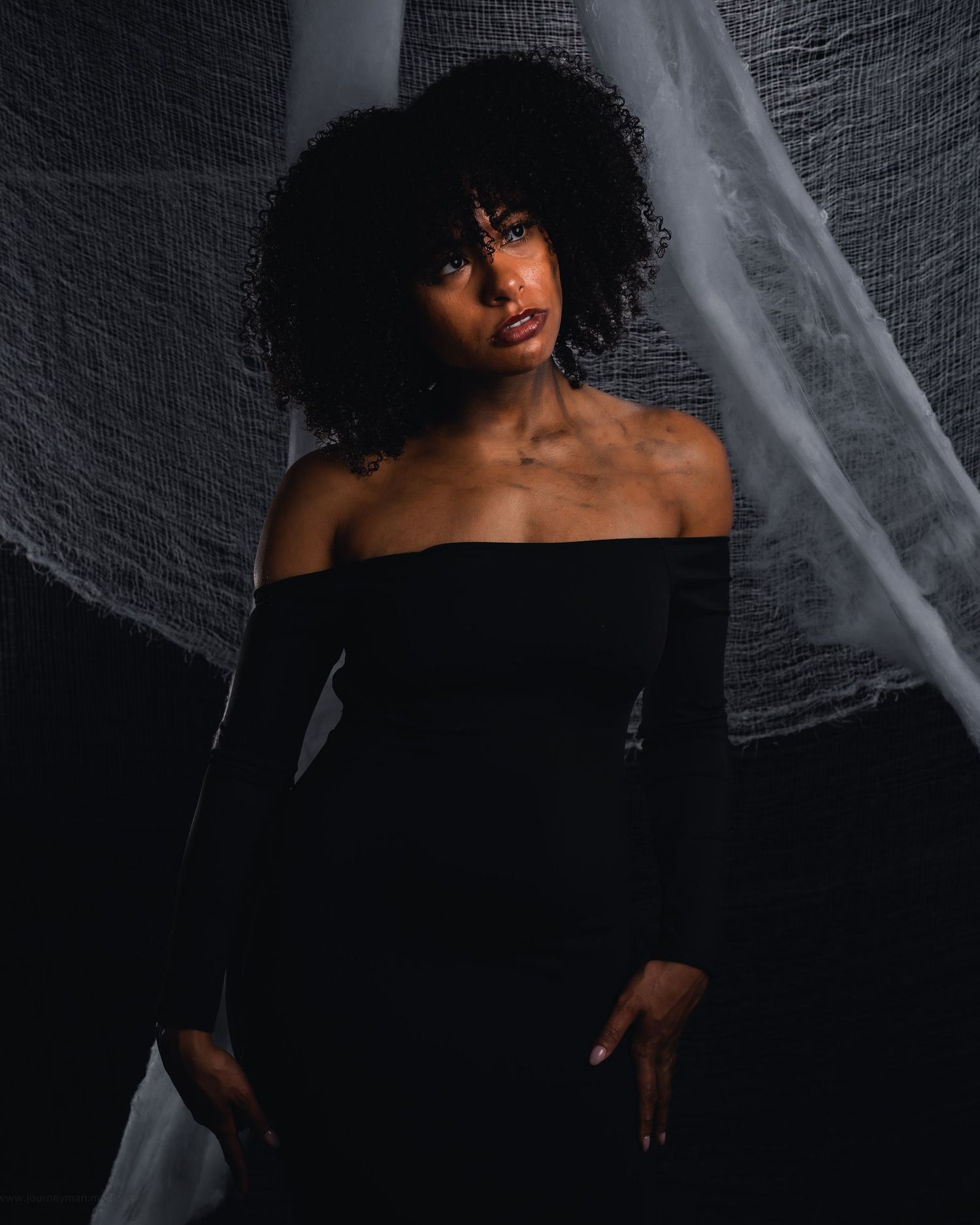 Artistic dark portrait against cobweb backdrop with dramatic shadows and moody lighting.