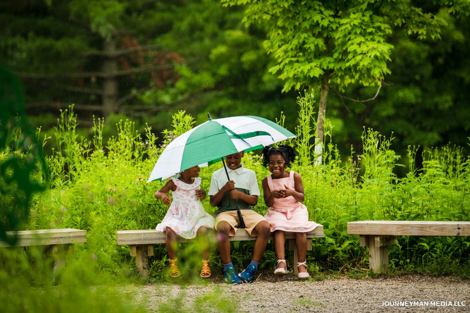People with colorful umbrellas relax and read books along a wooded trail on a summer afternoon.