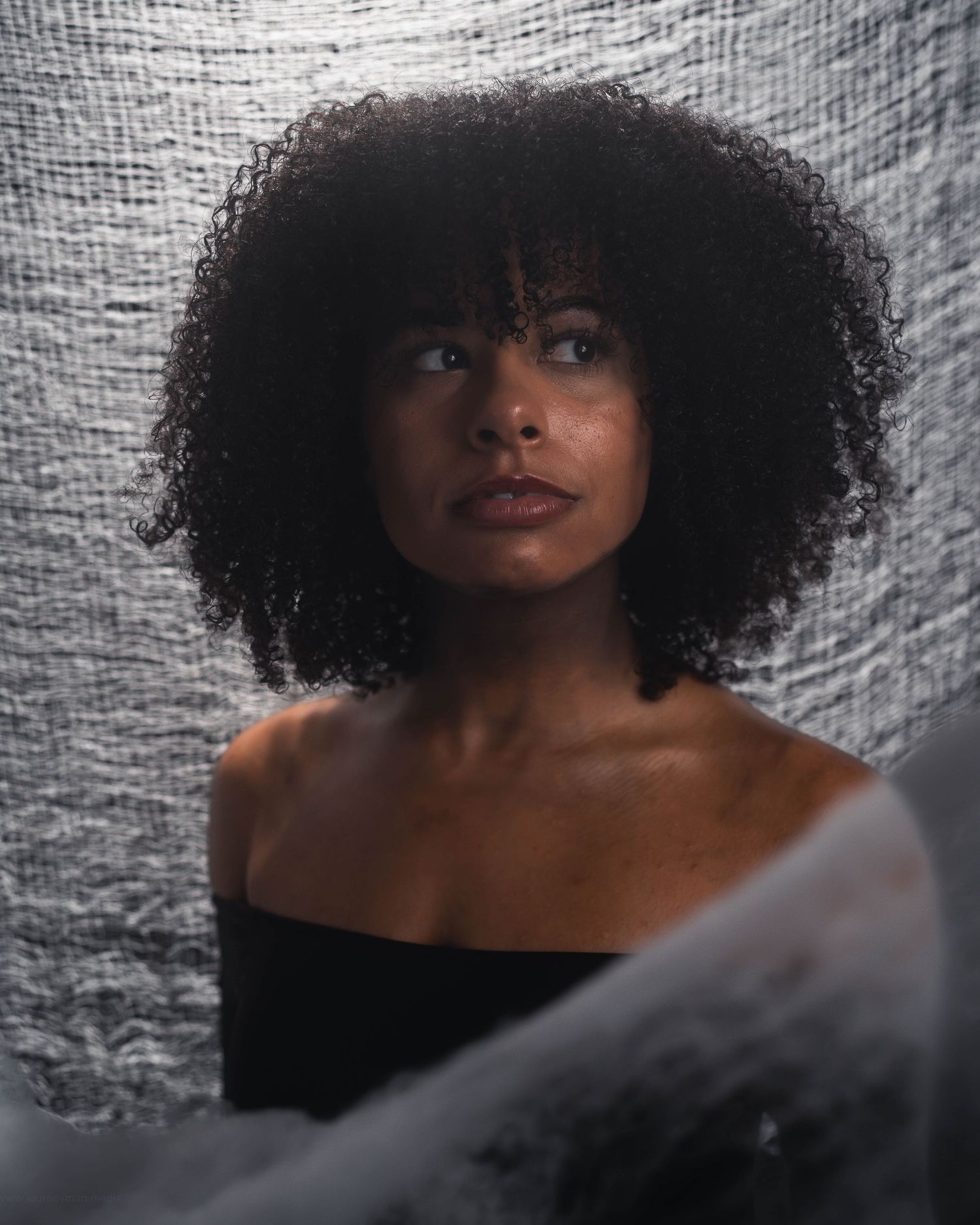 A series of artistic portraits featuring a person with voluminous natural curly hair against a textured silver backdrop.