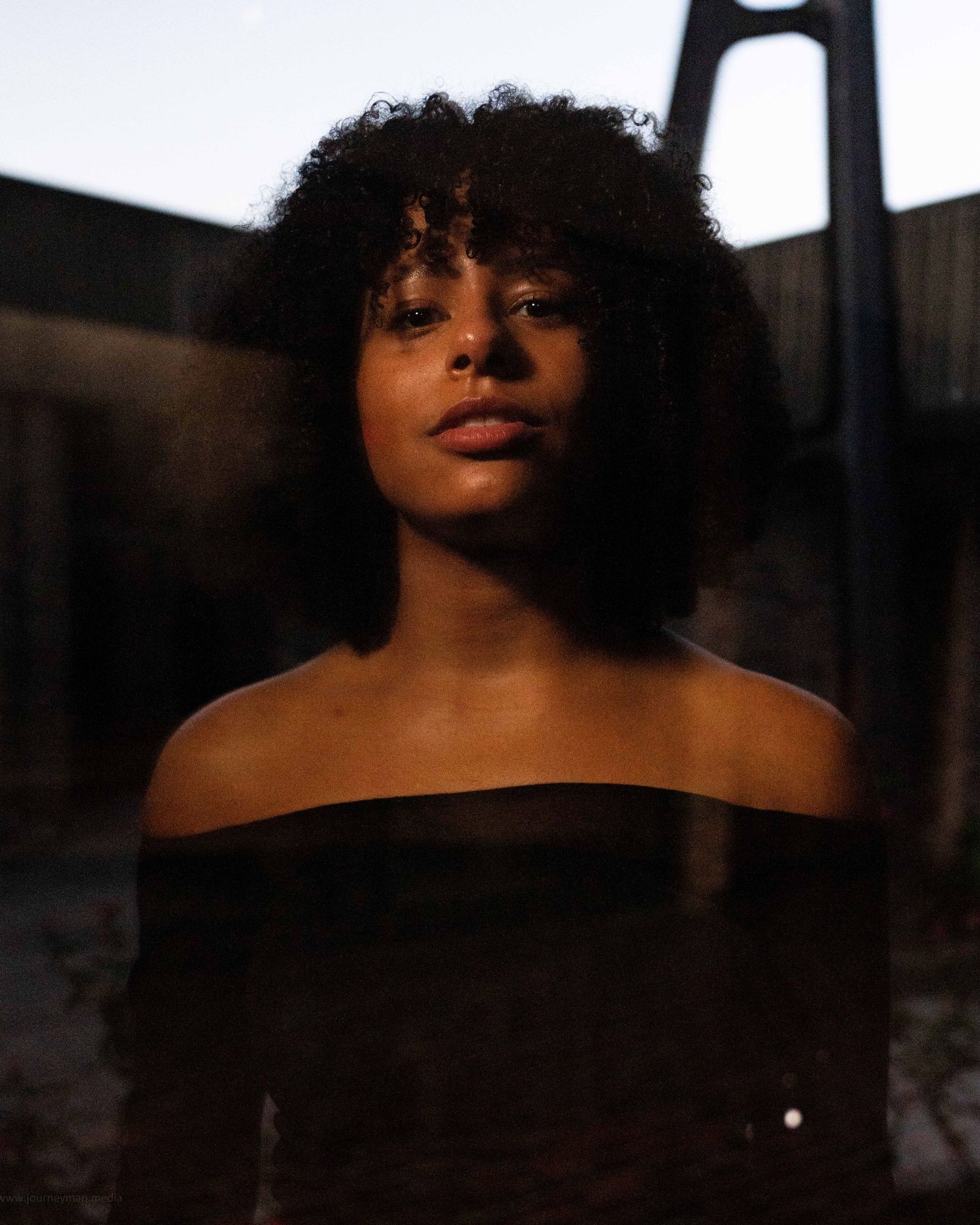 A dark and moody portrait series featuring dramatic shadows and soft lighting in a monochromatic style.