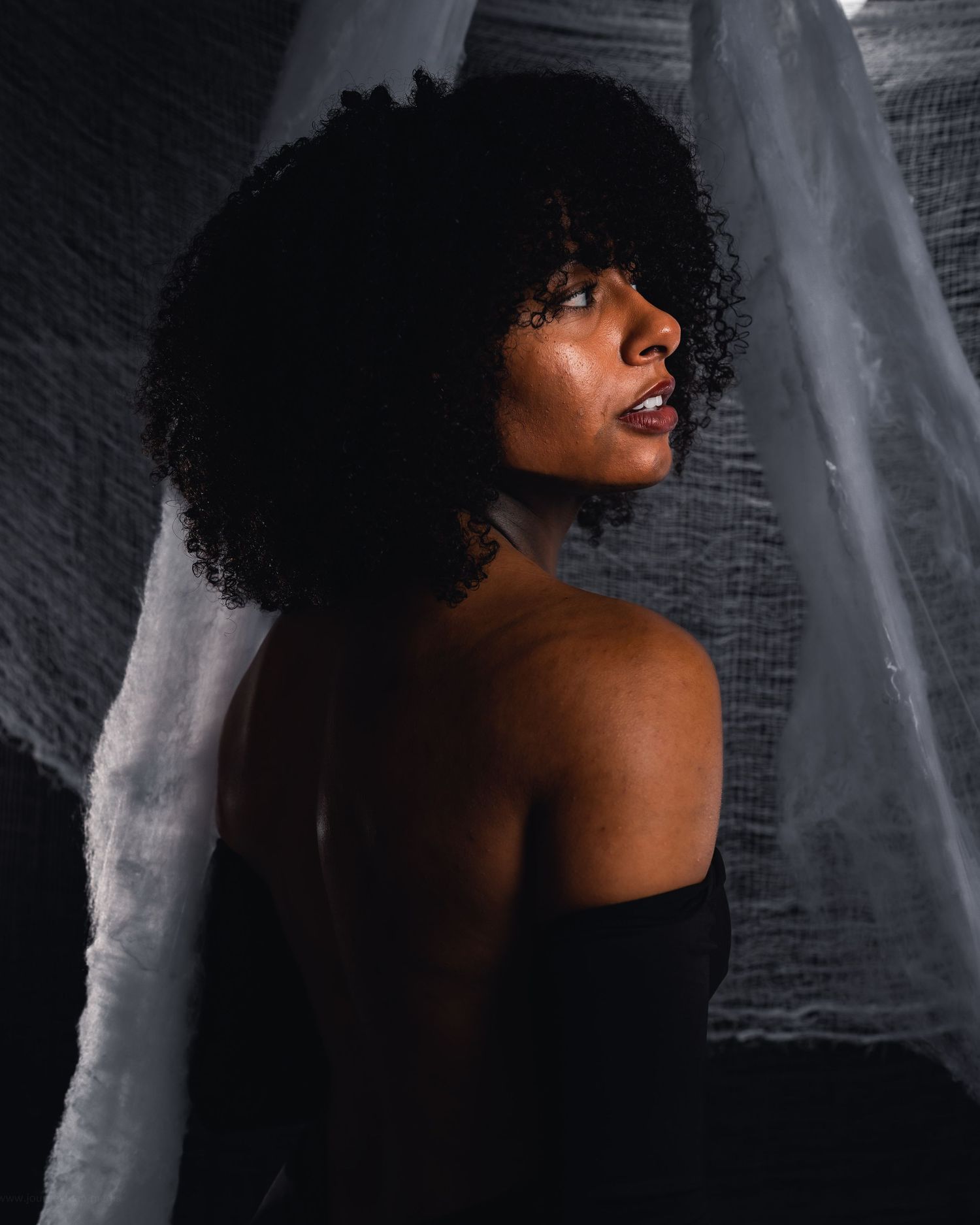 Artistic portrait series showing silhouetted figure with natural curly hair against white fabric in dramatic lighting.