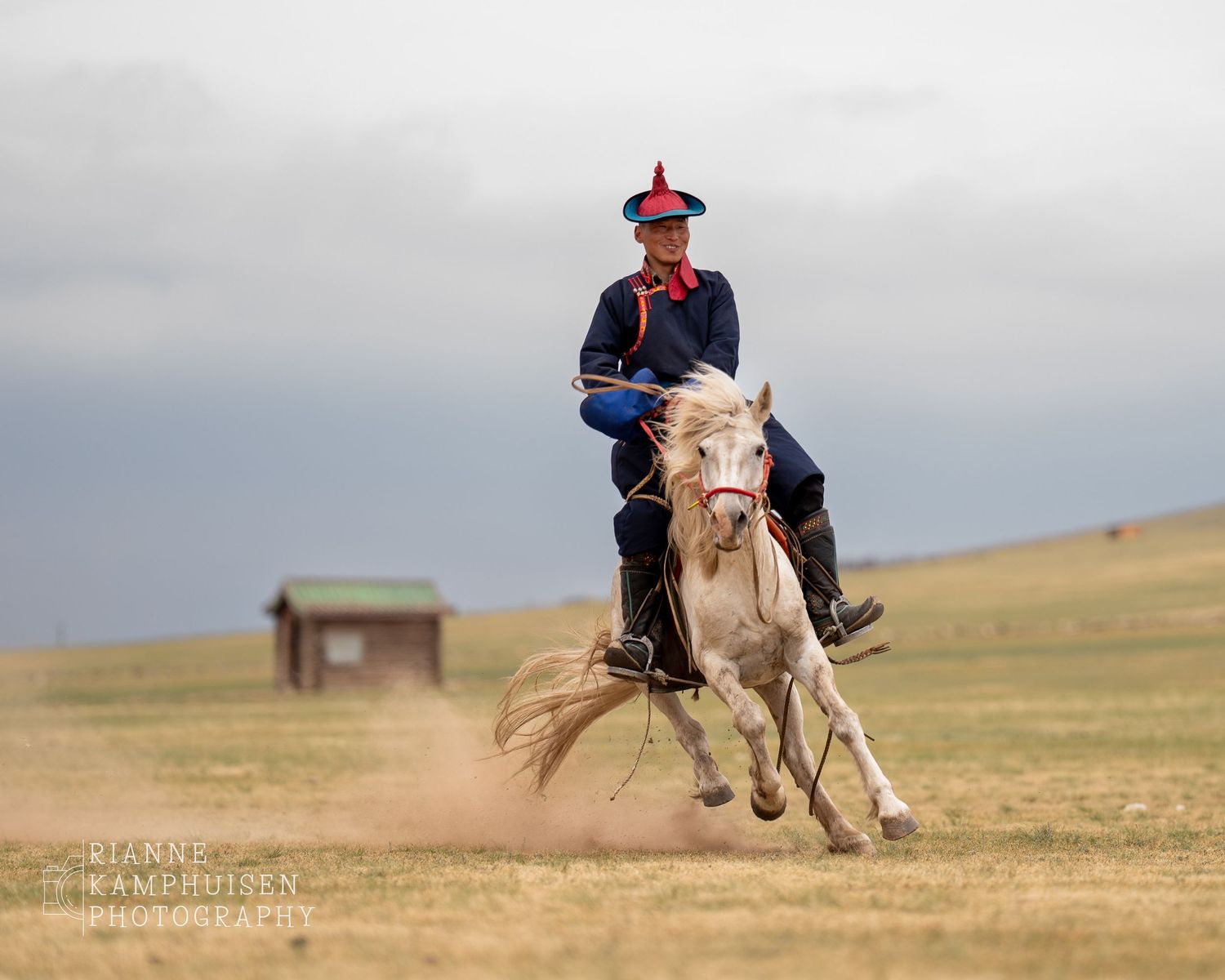 Ruiter in traditioneel Mongools tenue rijdt een wit paard dat schuin over het veld galoppeert, met stofwolk achter zich.