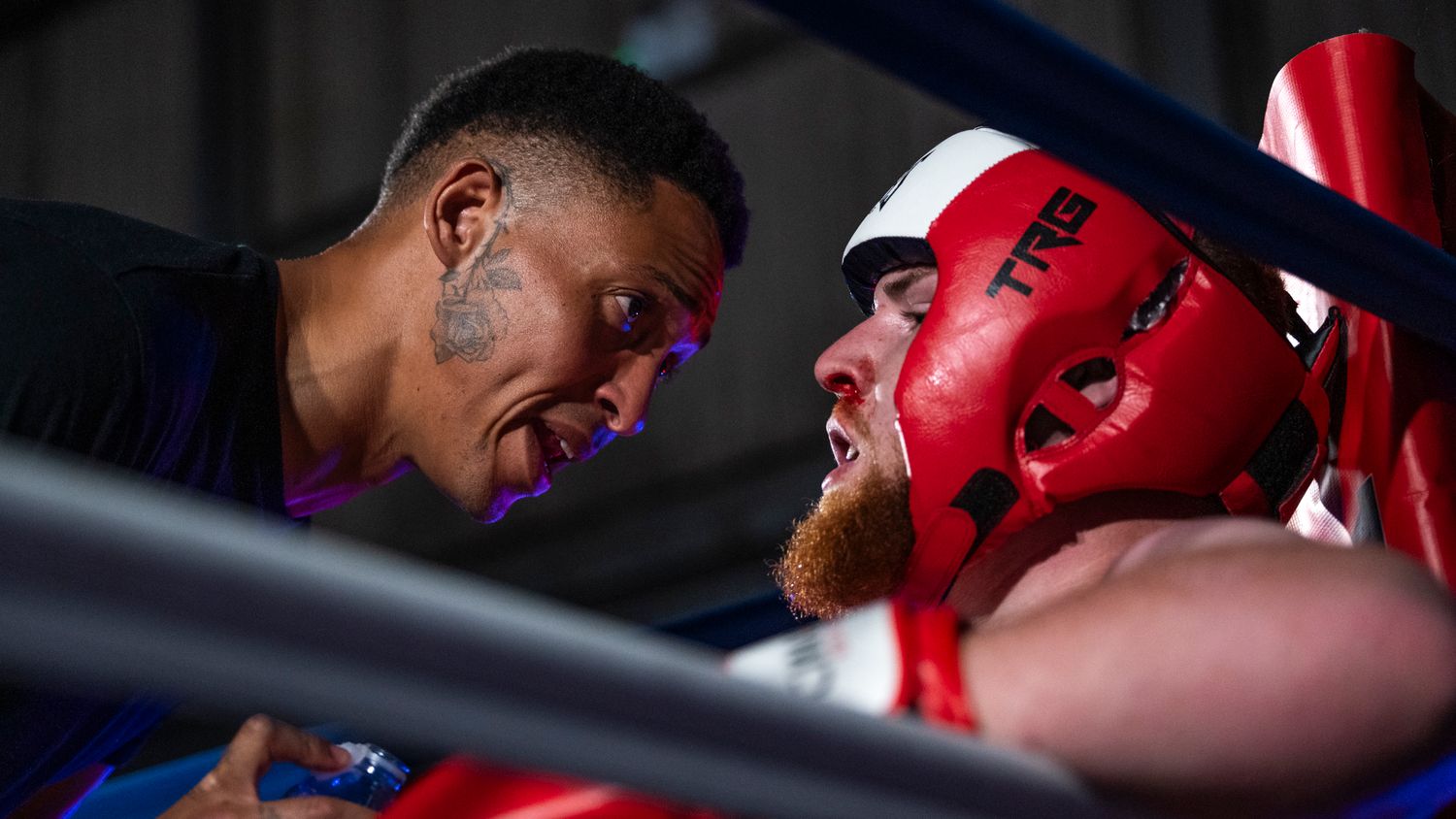 A sequence of boxing match photos shows fighters exchanging punches and defensive moves in the ring.
