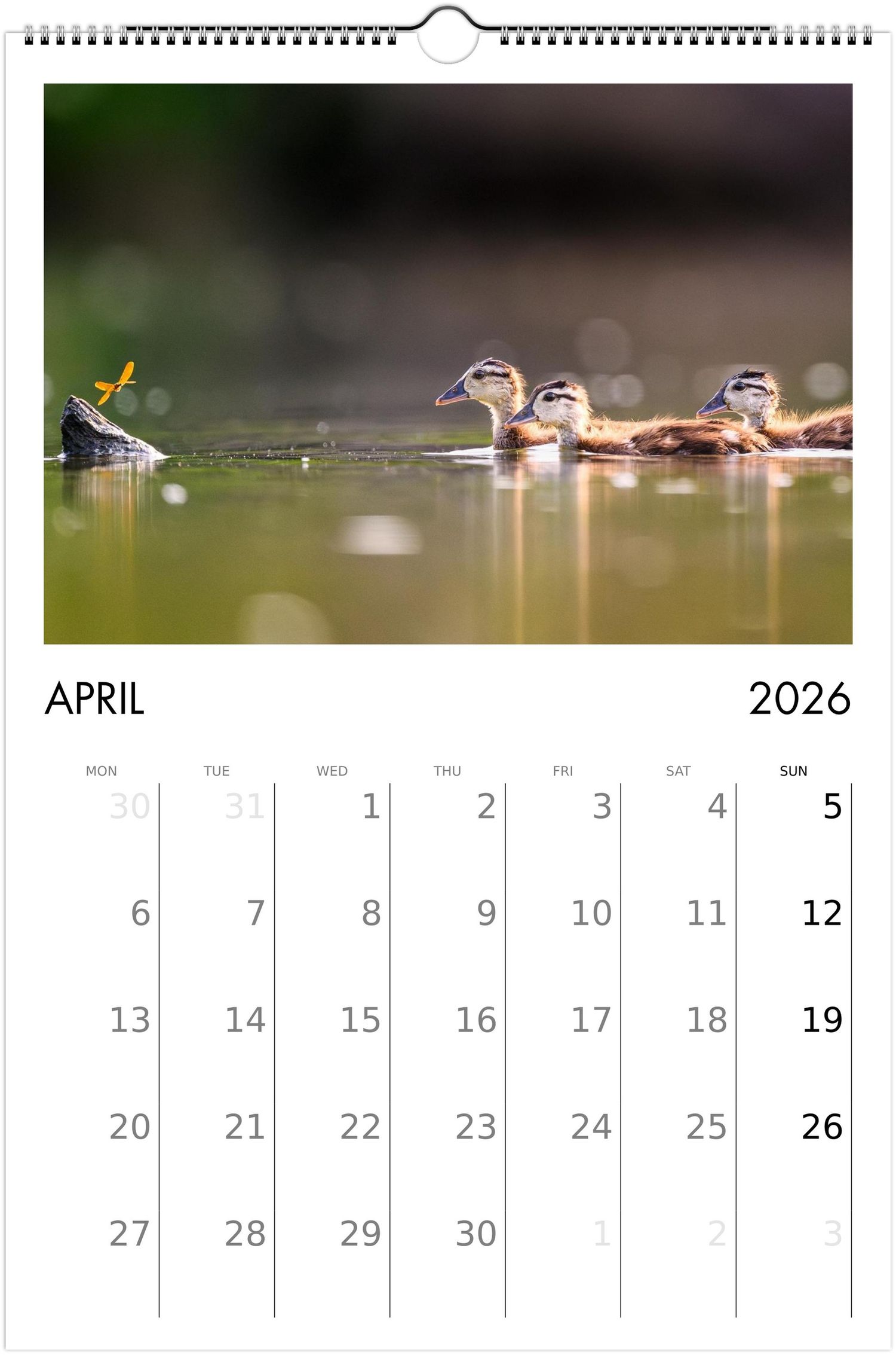 A minimalist calendar page for April 2026 features a tranquil nature photo of ducks swimming in reflective water.
