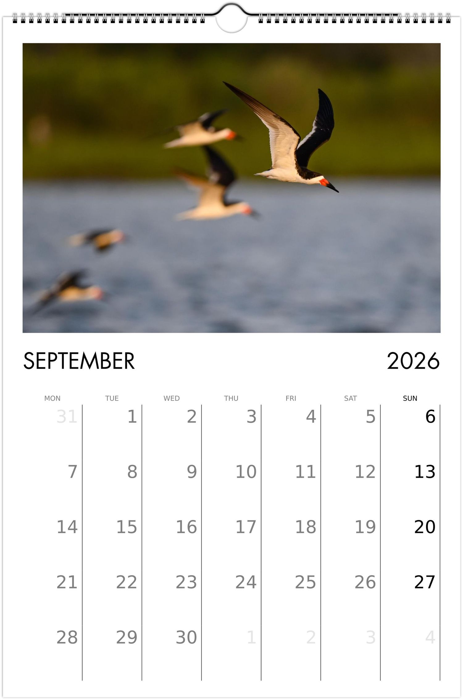 Flying birds silhouetted against a sunset sky in a September 2026 calendar page layout.