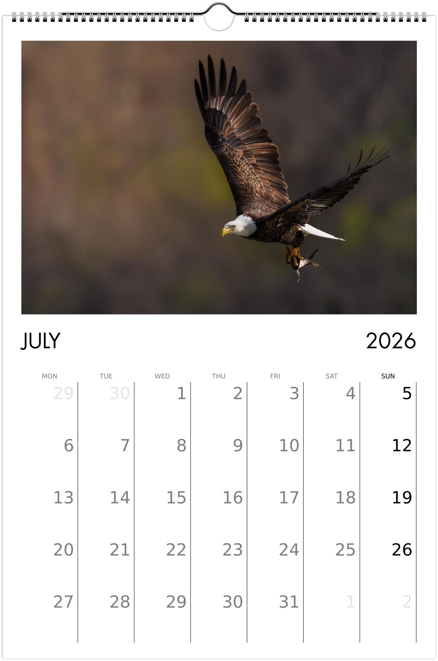A calendar page for July 2026 features dramatic wildlife photographs of bald eagles soaring and hunting in natural settings.
