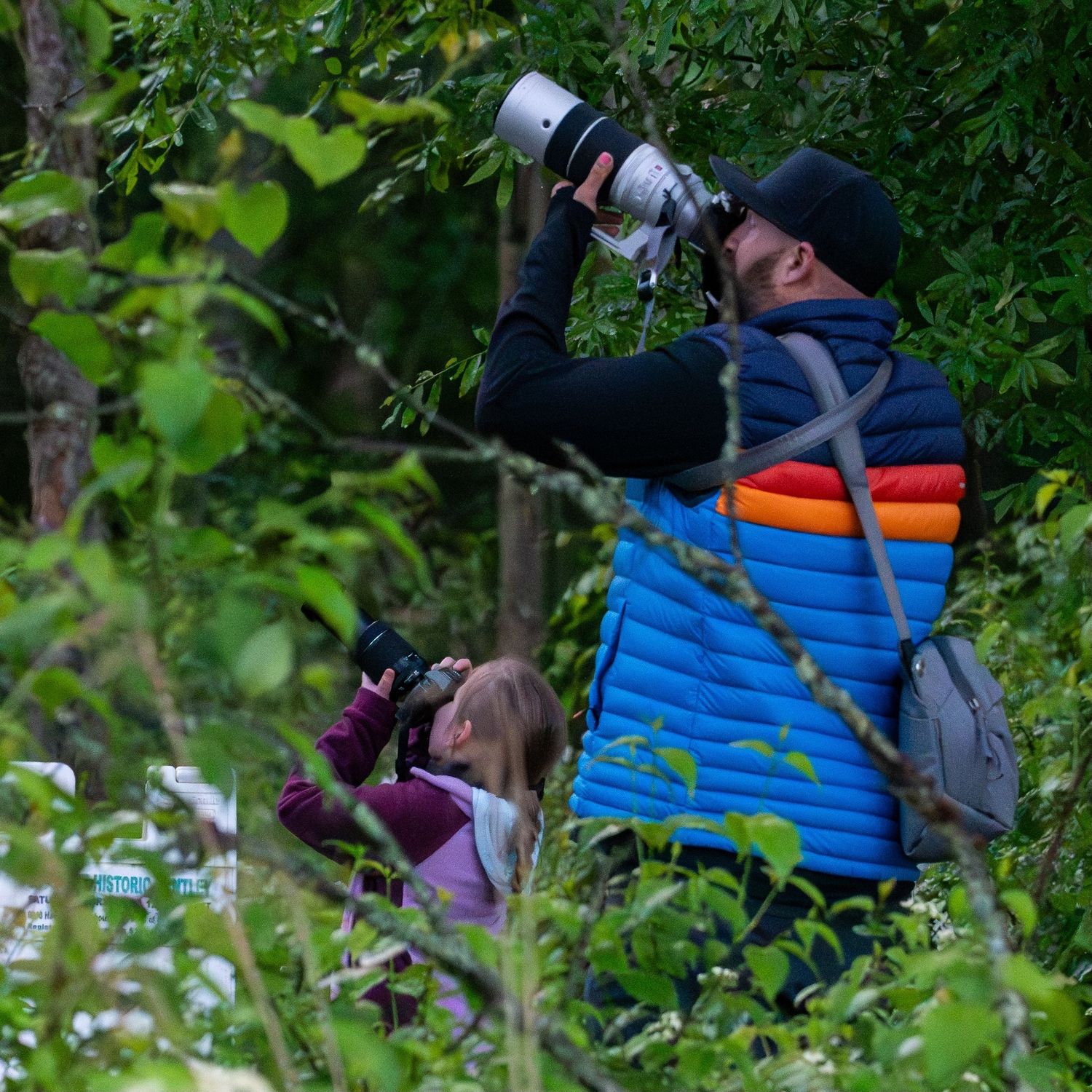 Father and daughter photograph birds together in the woods, long lenses pointed skyward in search of the perfect shot.