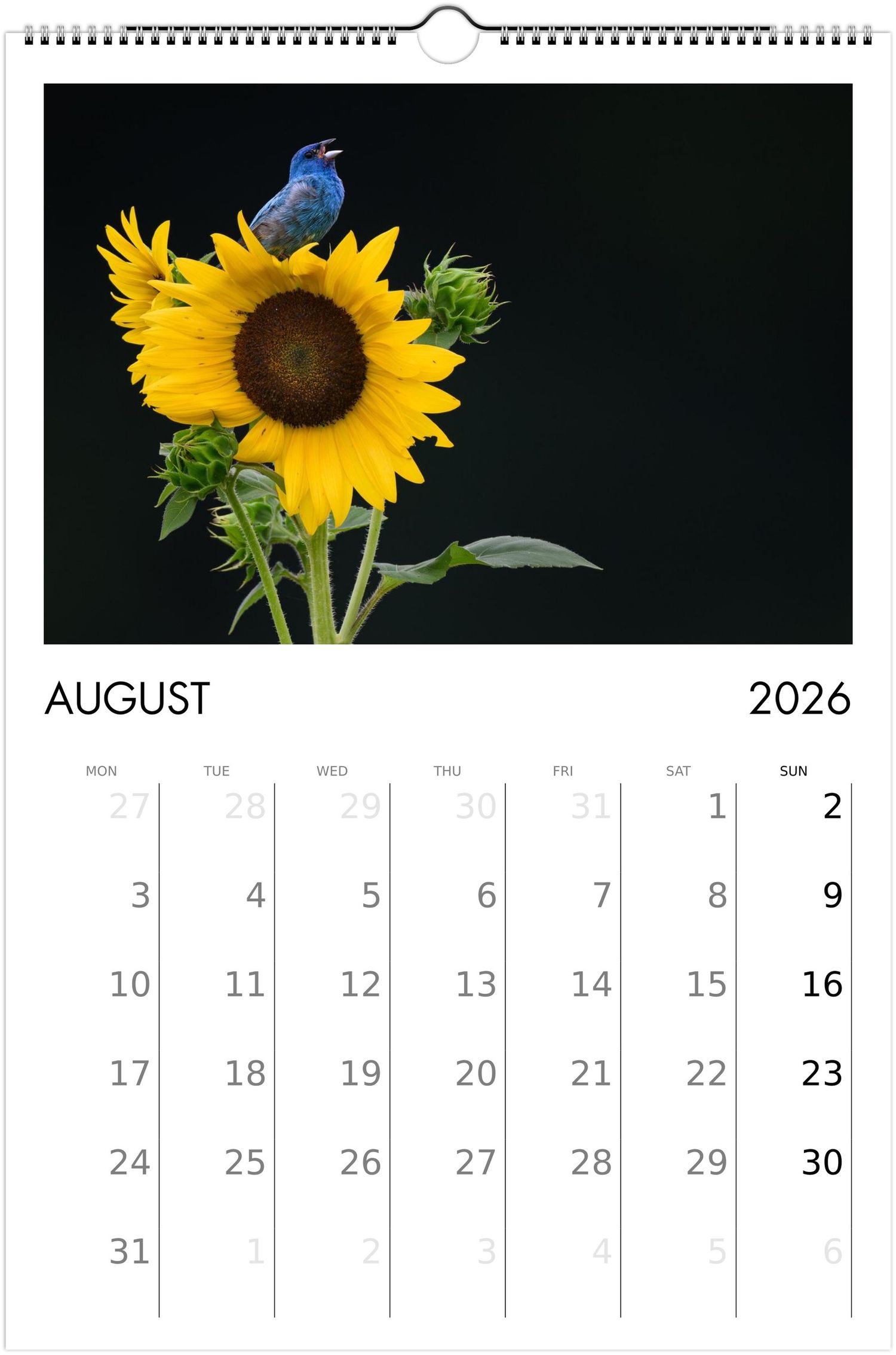 Calendar page for August 2026 featuring a vibrant sunflower against a dark background with a perched blue bird.