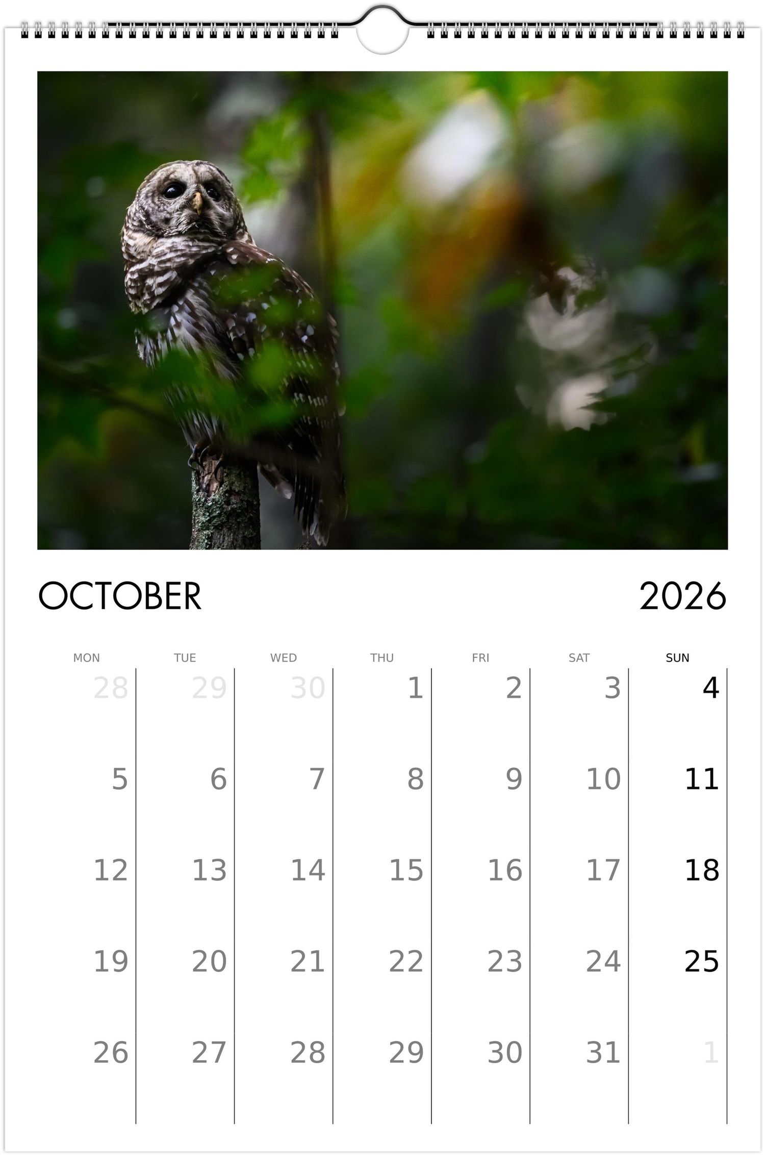 Calendar page showing October 2026 with owl photographs decorating the top portion against a dark natural background.