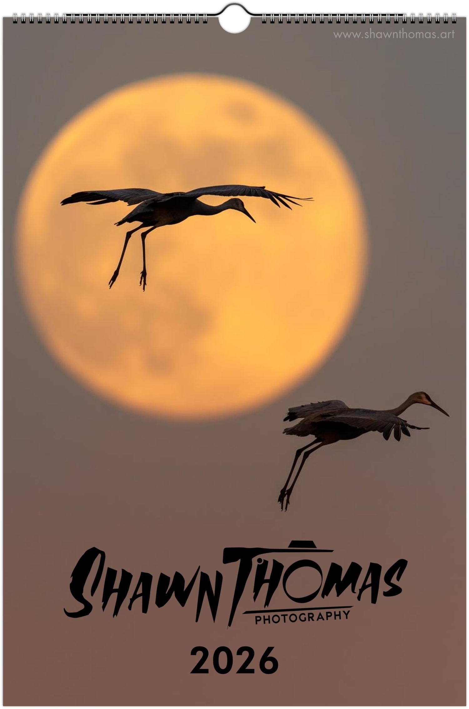 Silhouettes of sandhill cranes flying against a large orange full moon in a series of artistic calendar photos.