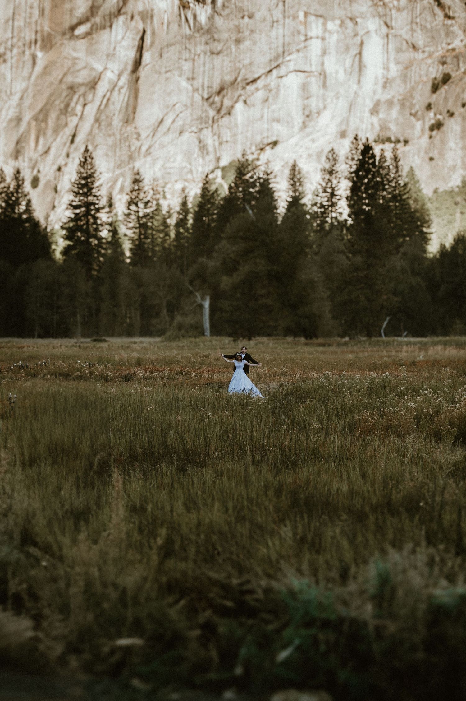 Majestic granite cliffs and pine trees frame a meadow in Yosemite Valley.