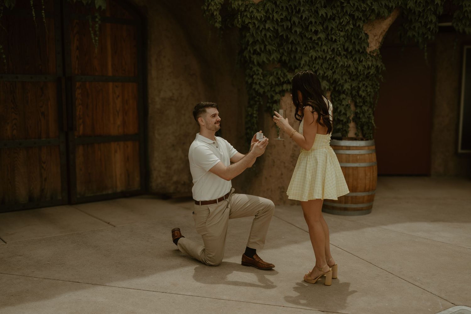 Marriage proposal scene in front of ivy-covered wall with a person kneeling.