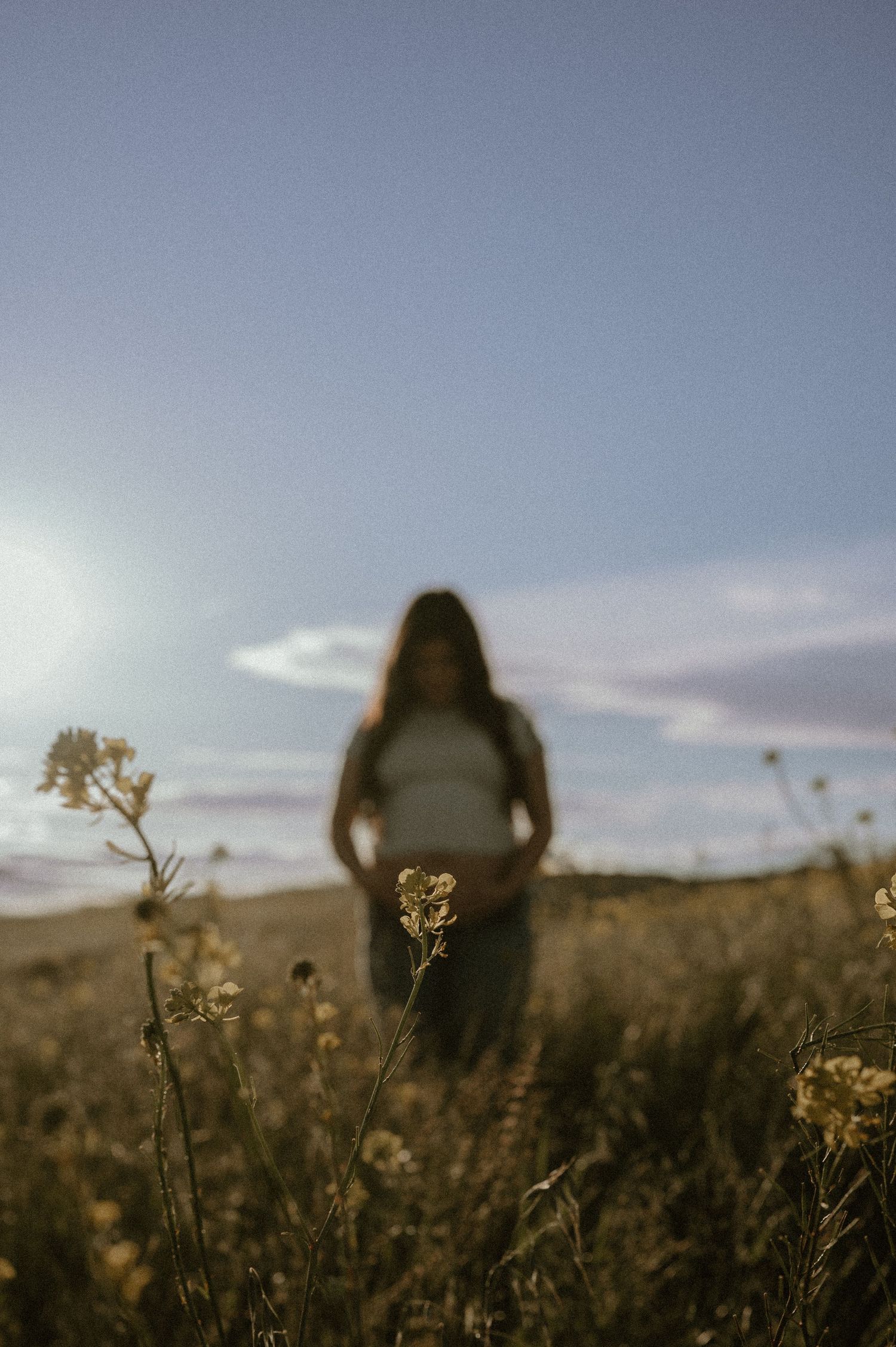 Silhouetted figures stand in a field of wildflowers during golden hour.