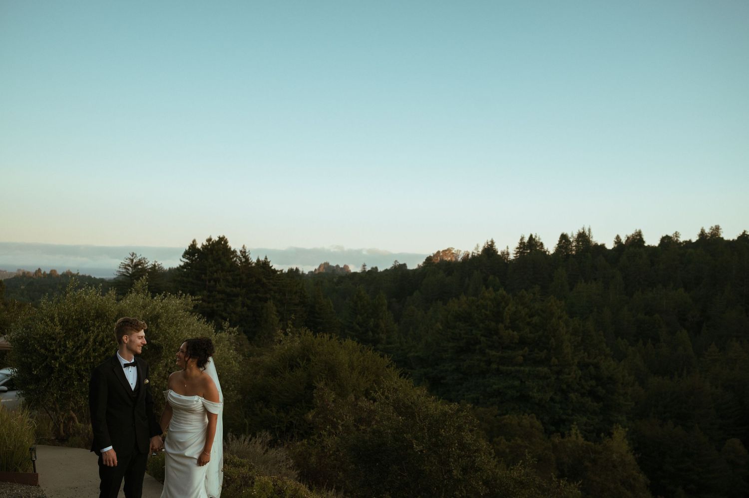 Scenic mountain landscape view from wedding venue with pine trees in distance.