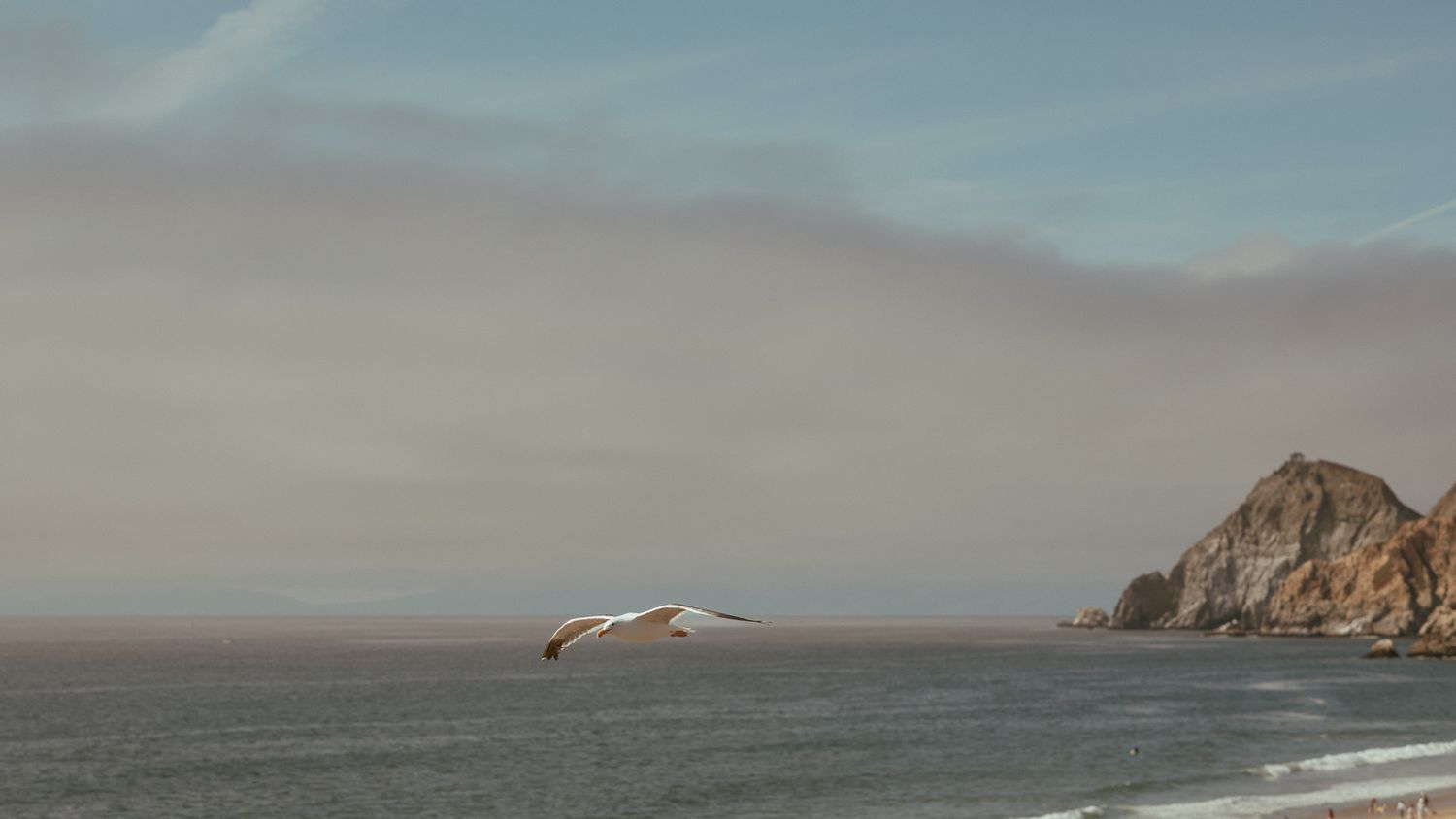 A seagull soars over misty ocean waters with a rocky coastal cliff in the background at dusk.