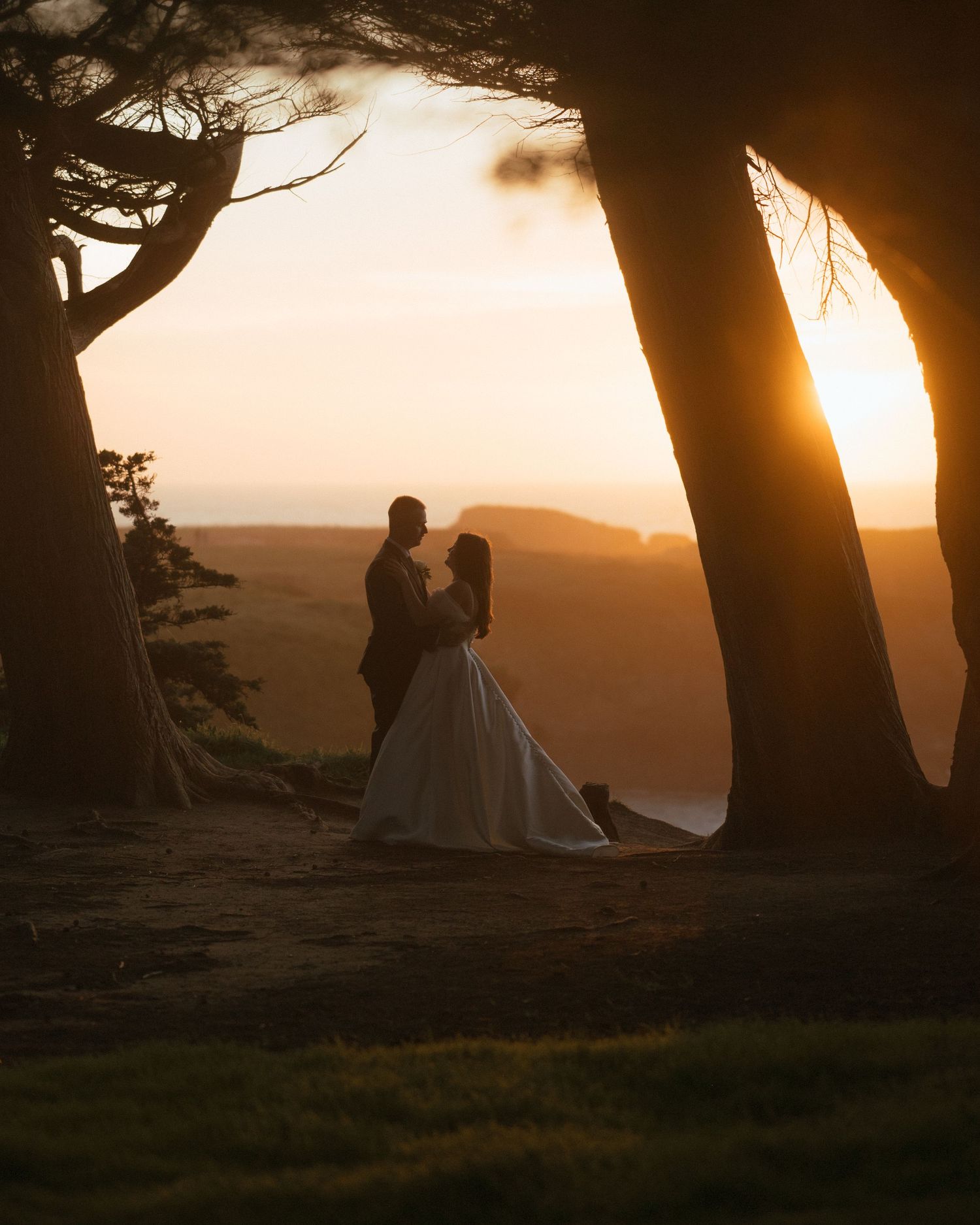 Silhouettes of figures against a dramatic sunset with tree branches framing the golden sky at a coastal overlook.