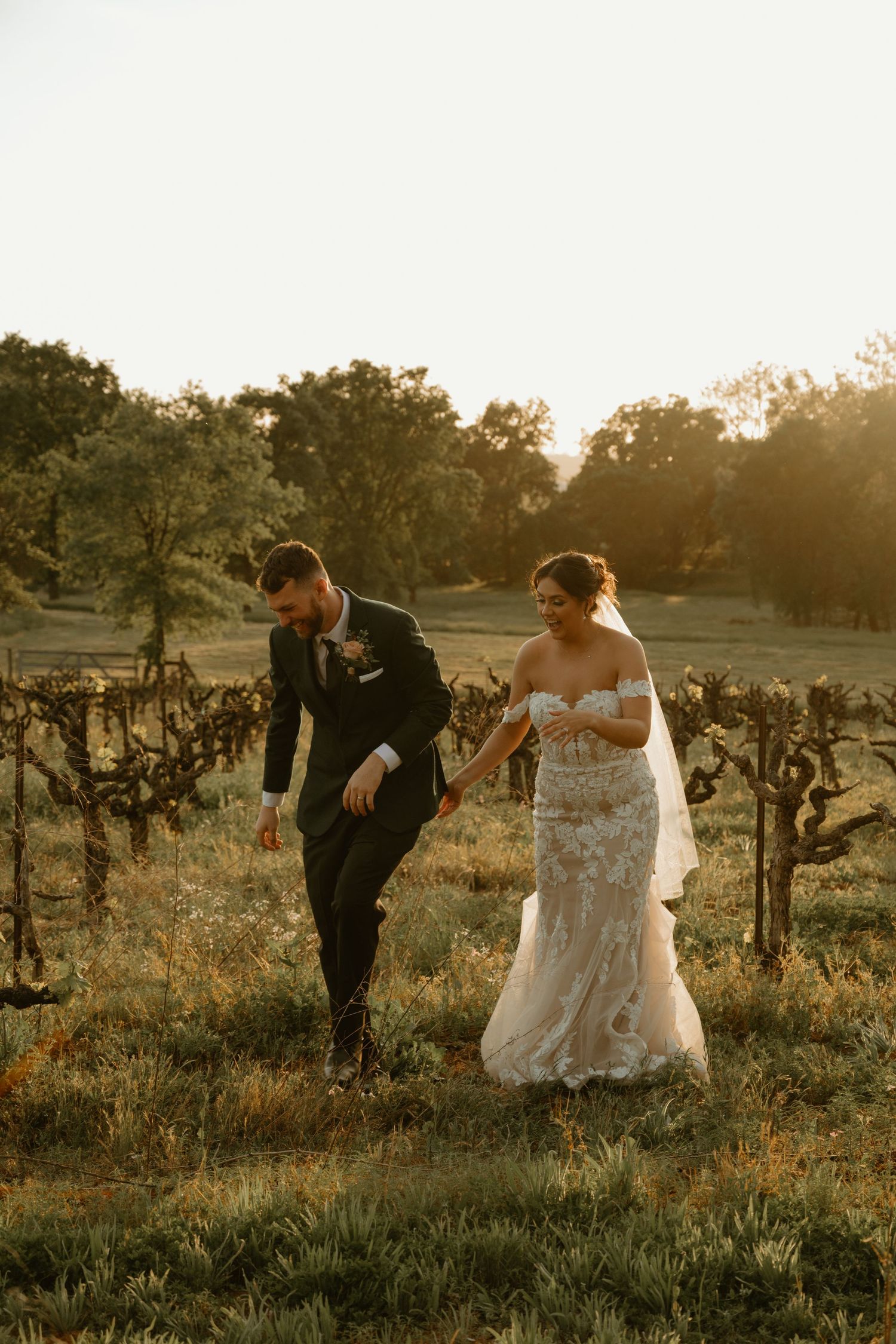 Wedding couple walking through vineyard at sunset during their portrait session.