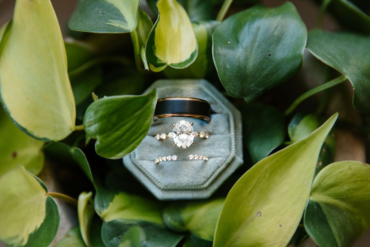 Diamond engagement ring and black wedding band displayed in a teal velvet ring box surrounded by green leaves.