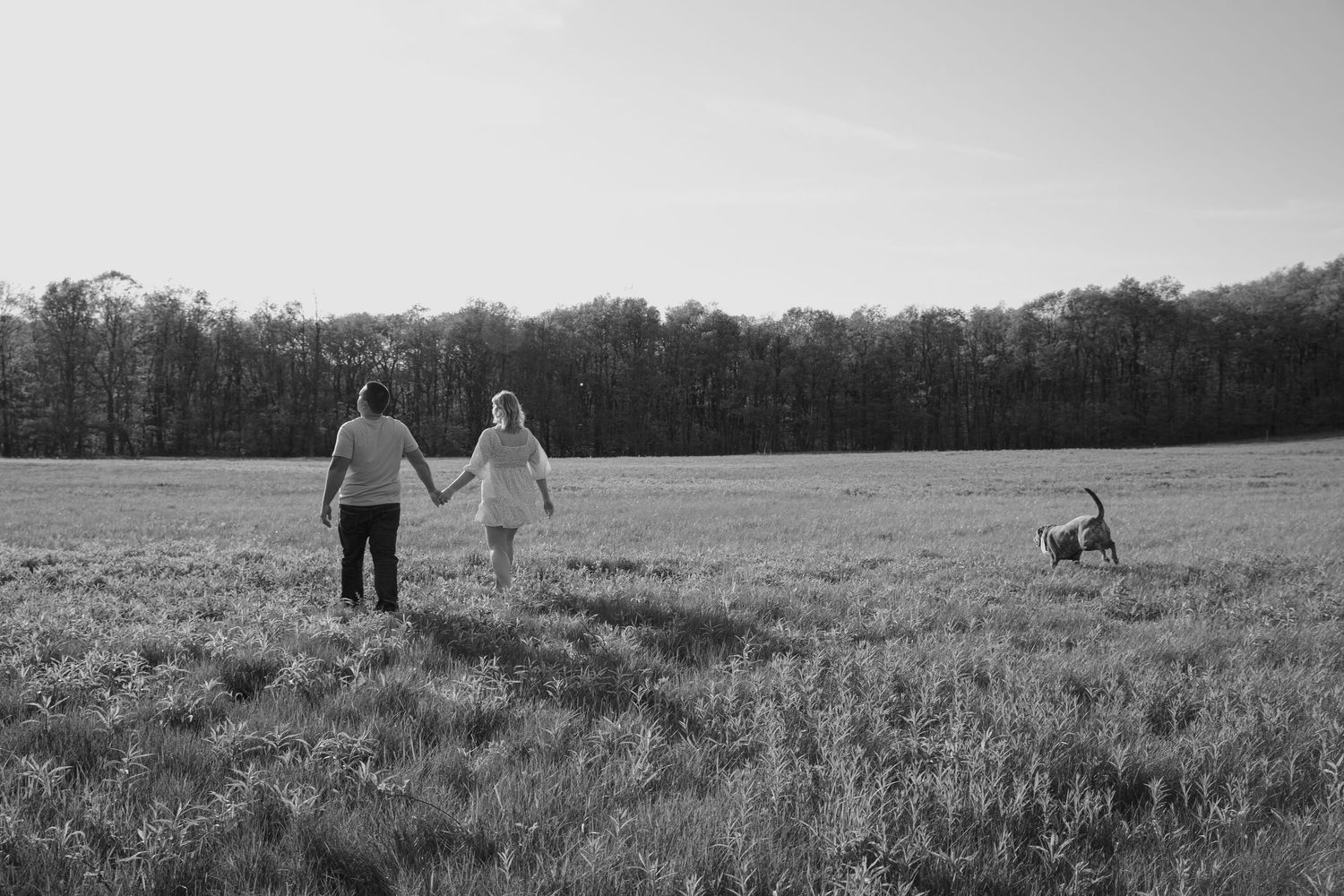 Panoramic black and white view of a couple walking with their dog in an open field.