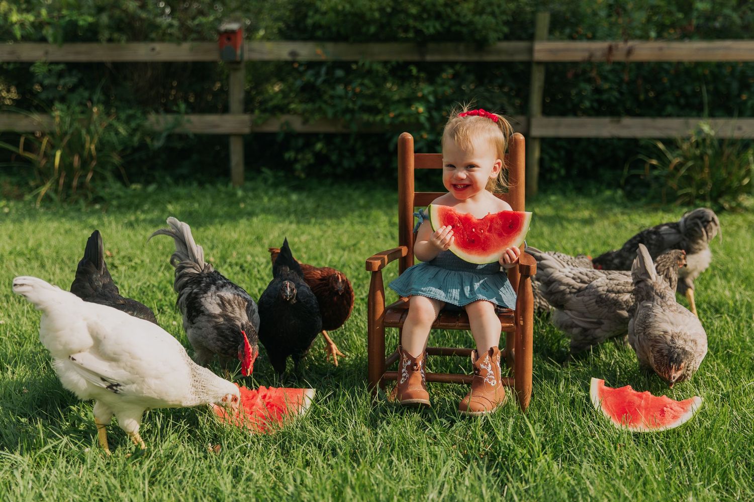 Ducks and chickens gathered around a watermelon slice on green grass.