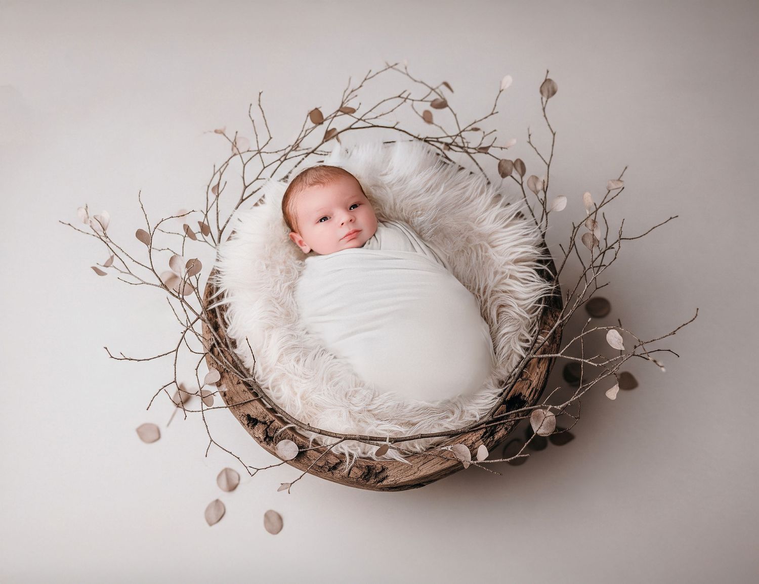 Mon Bebe Photography Newborn Sessions in Basildon Essex