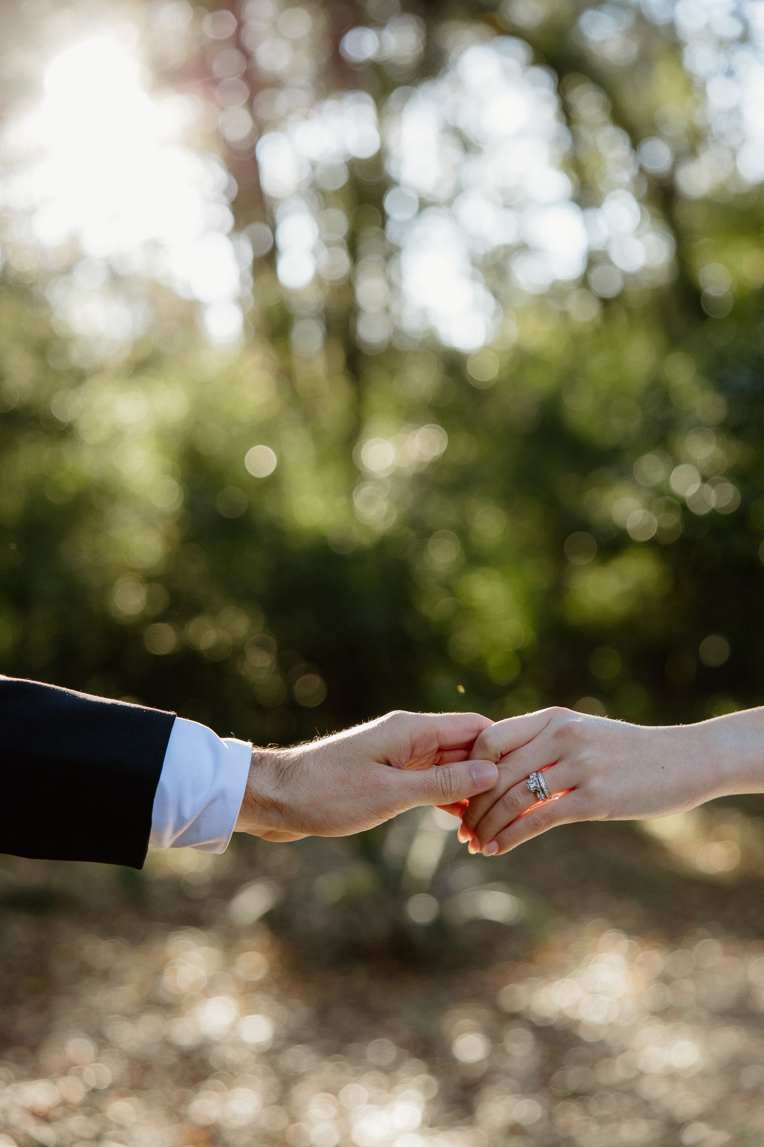 Two hands reach out to touch in a romantic gesture against a blurred forest backdrop with soft bokeh lighting.