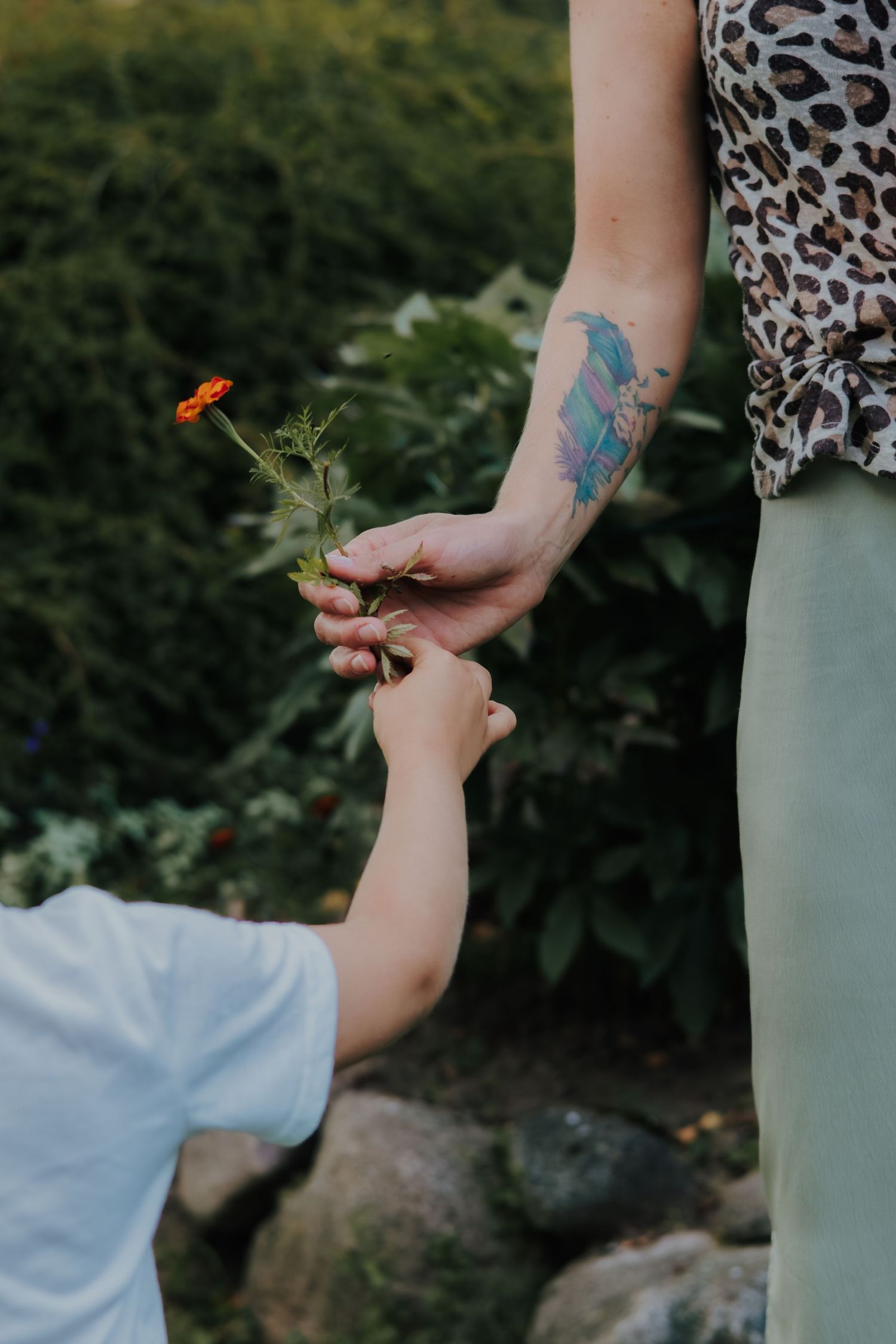 Close-up of hands holding small orange butterfly against green foliage background in soft natural lighting.