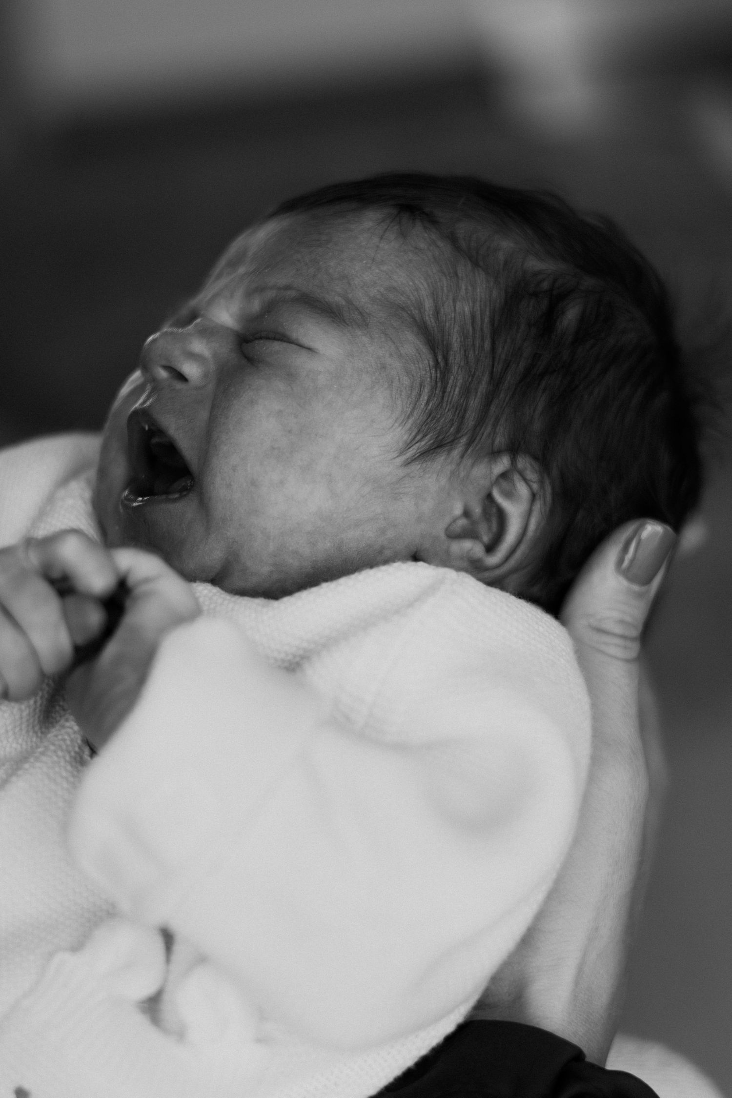 A series of black and white photos showing a sleeping newborn baby swaddled in white blankets.
