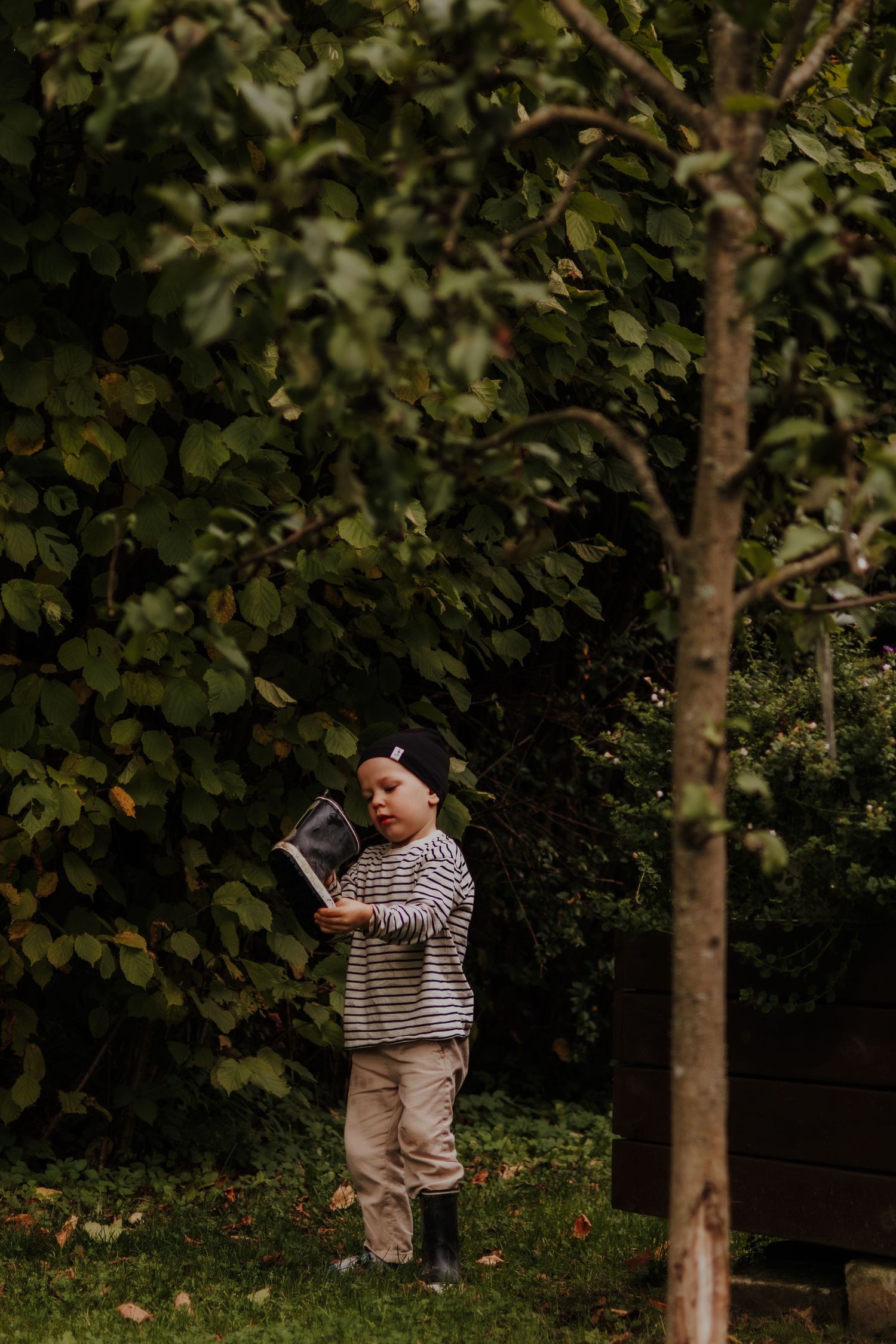 A series of outdoor photos showing someone playing near trees with gymnastic rings visible in the background.