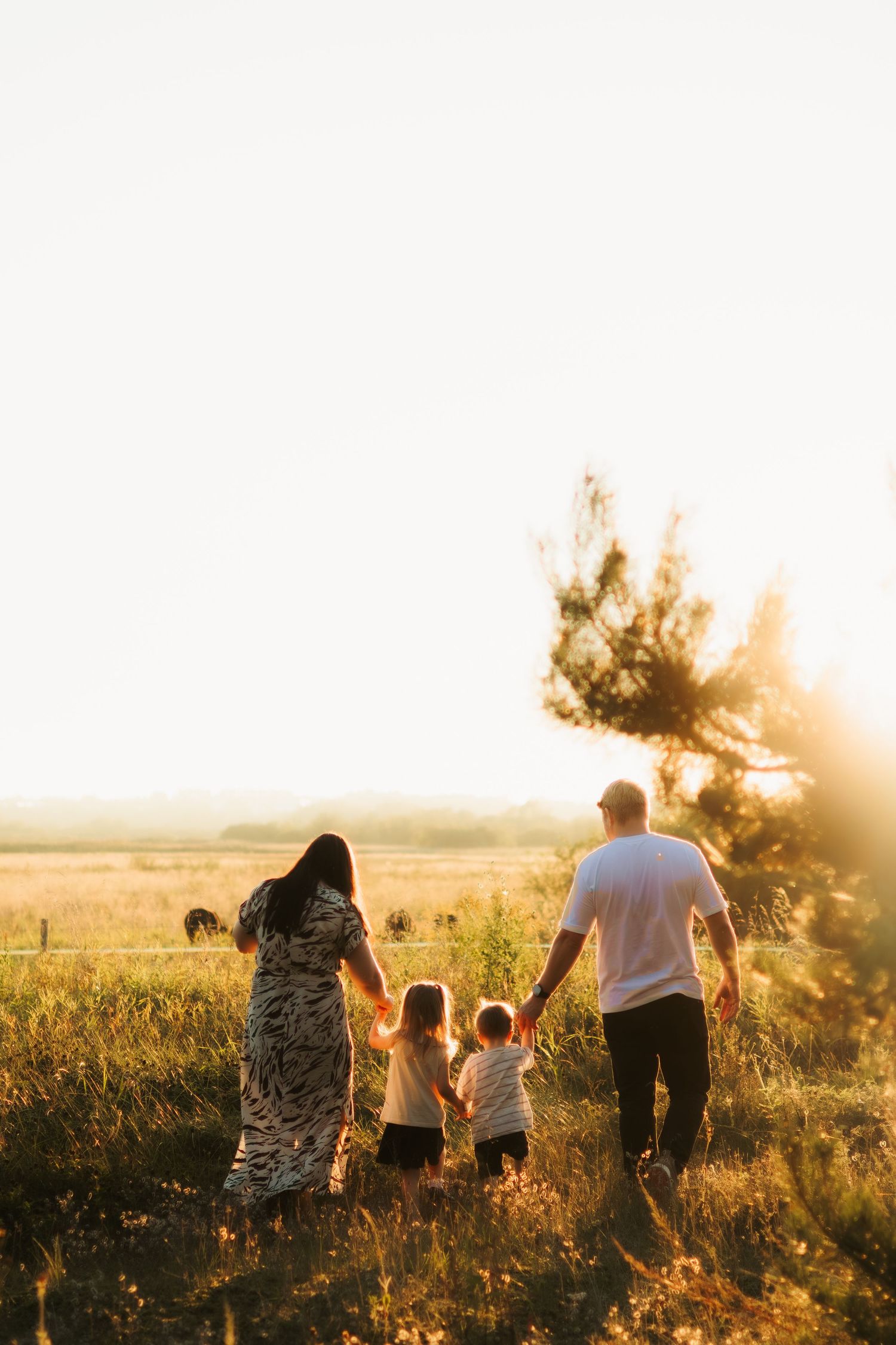 A family walking together through a golden field at sunset with sun flare in the background.