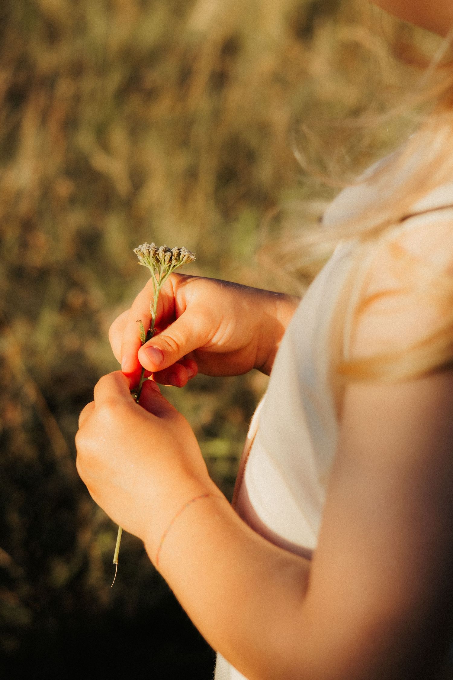 Child holding a small wildflower in golden sunlight outdoors.