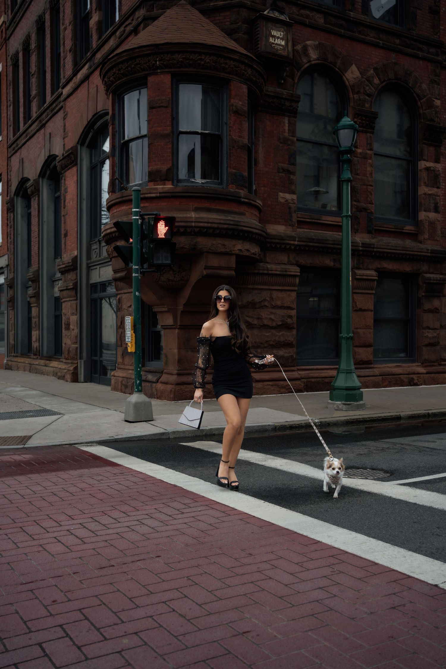 Woman in black mini dress walking small white dog across urban street crossing.