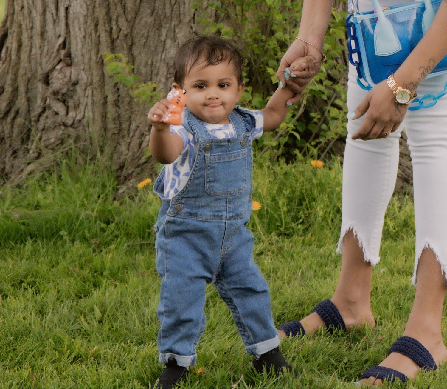 A toddler in denim overalls takes first steps on green grass while holding an adult's hand outdoors.